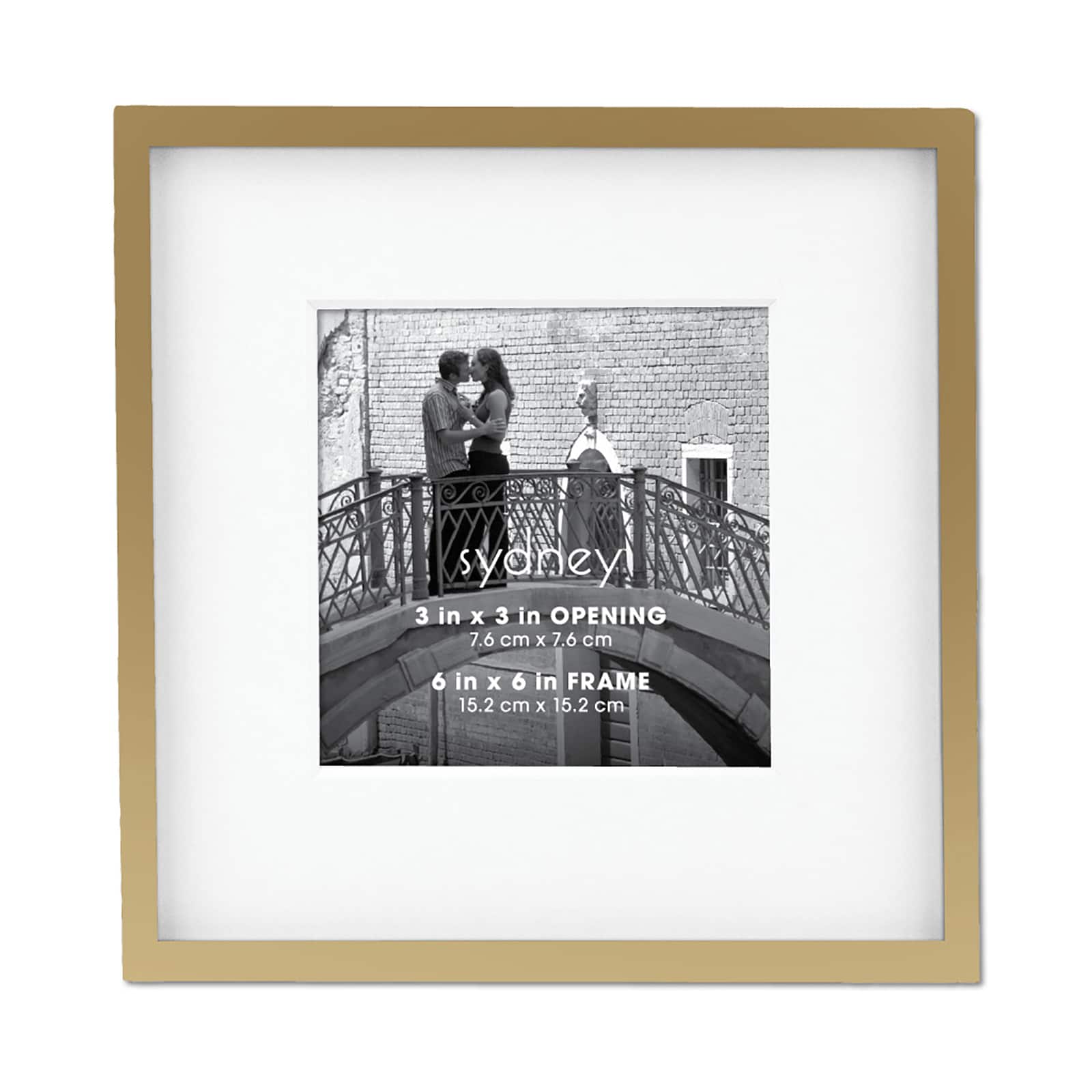 Gold Tabletop Frame with Mat Syndey by Aaron Brothers Michaels