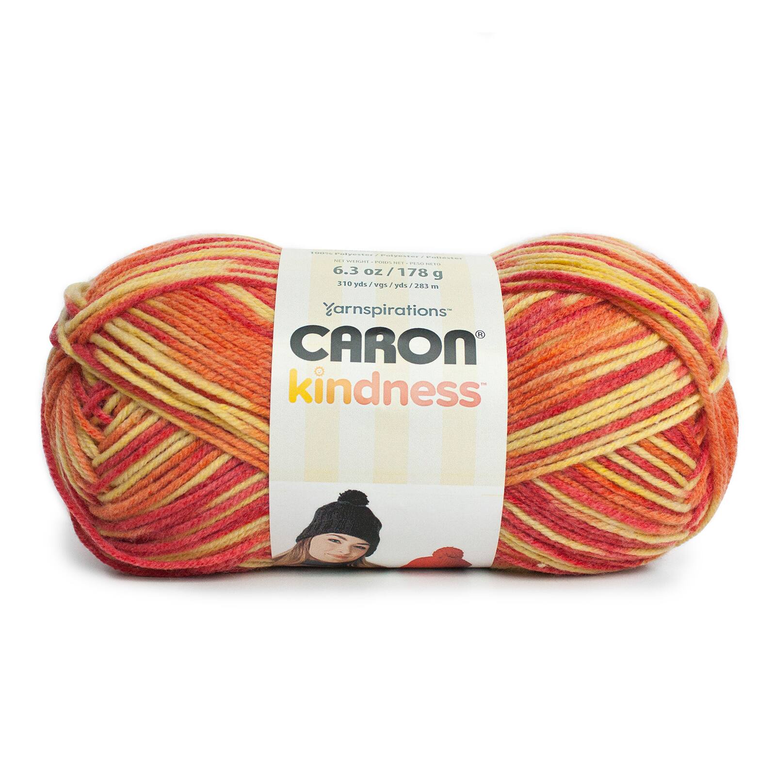 Caron Kindness yarn 310 yds Lilac Mist Variegated 1 skein 
