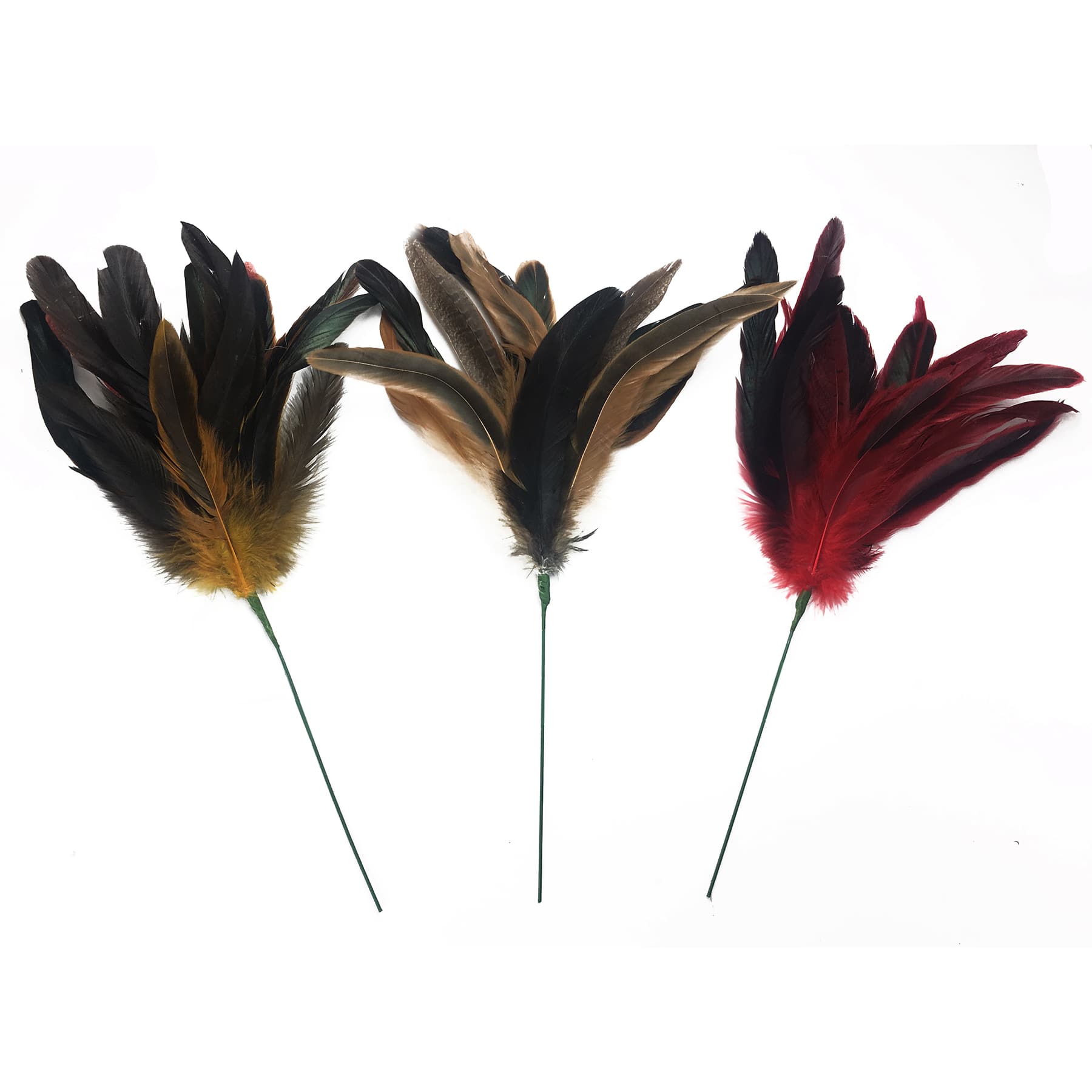 Assorted Colorful Feather Pick by Ashland&#xAE;