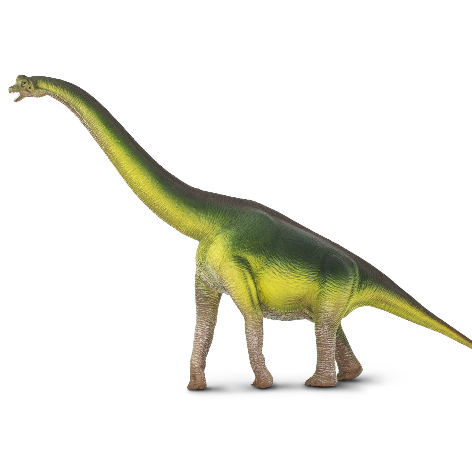 Safari Ltd&#xAE; Wild Safari&#xAE; Prehistoric World Brachiosaurus