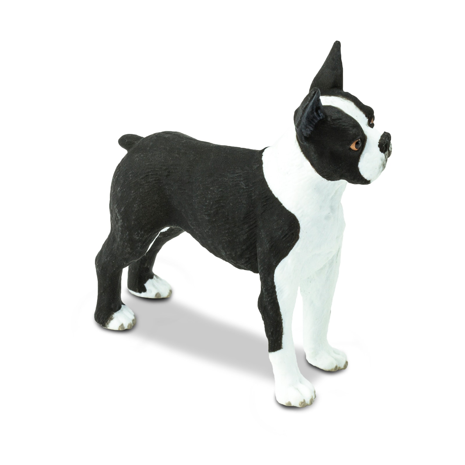 Safari Ltd® Best In Show Dogs Boston Terrier