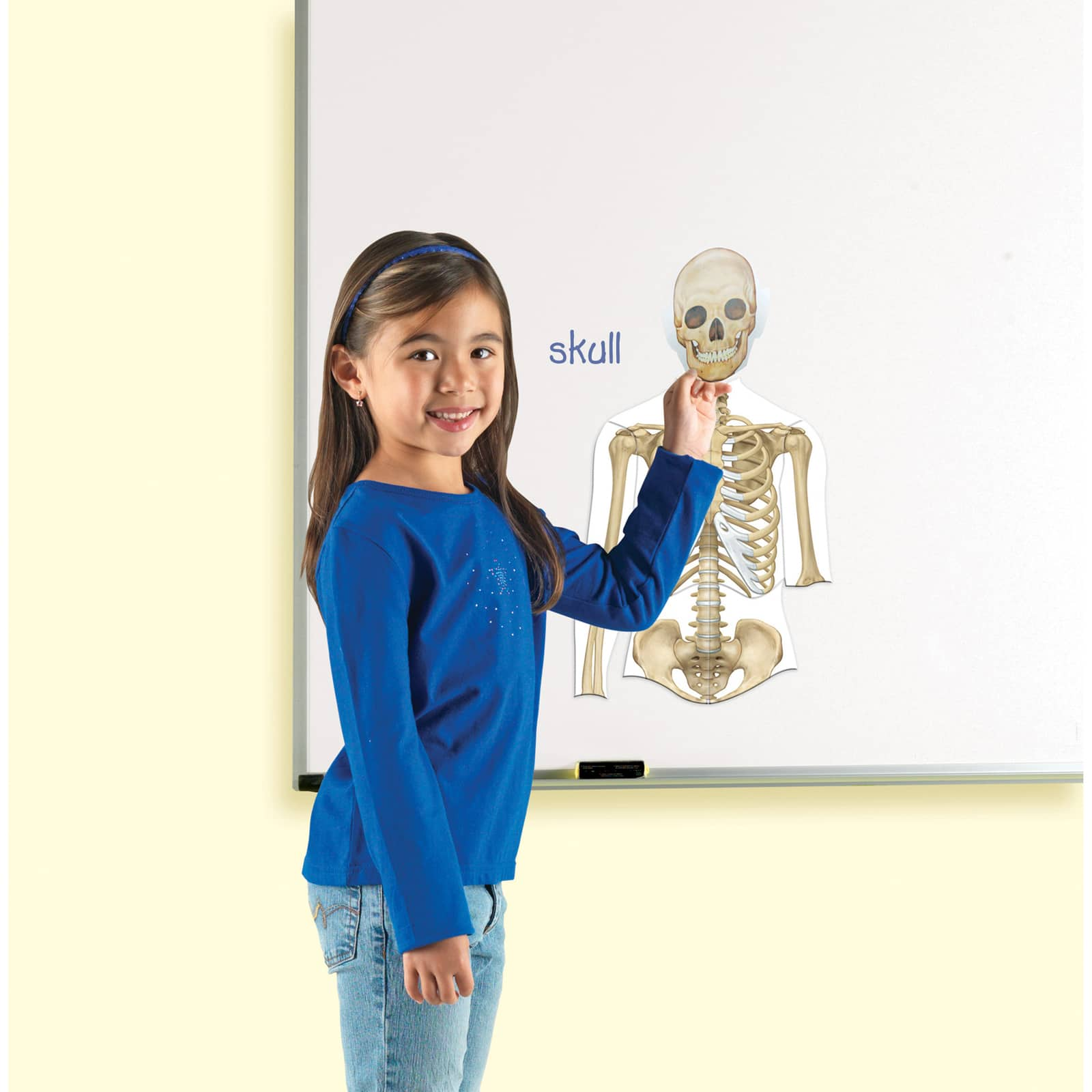 Learning Resources&#xAE; Double-sided Magnetic Human Body 