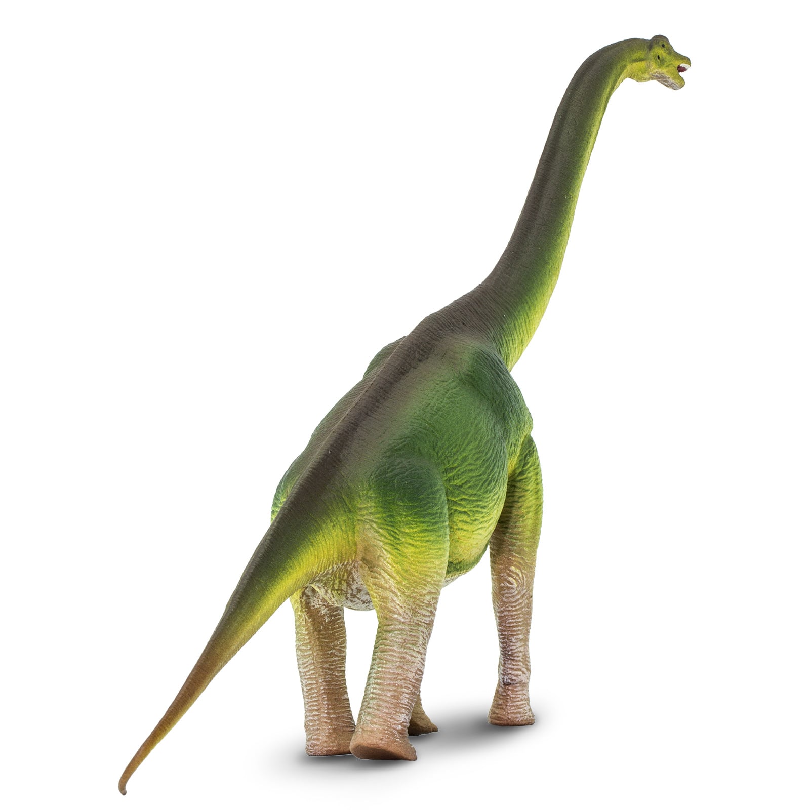 Safari Ltd® Wild Safari® Prehistoric World Brachiosaurus