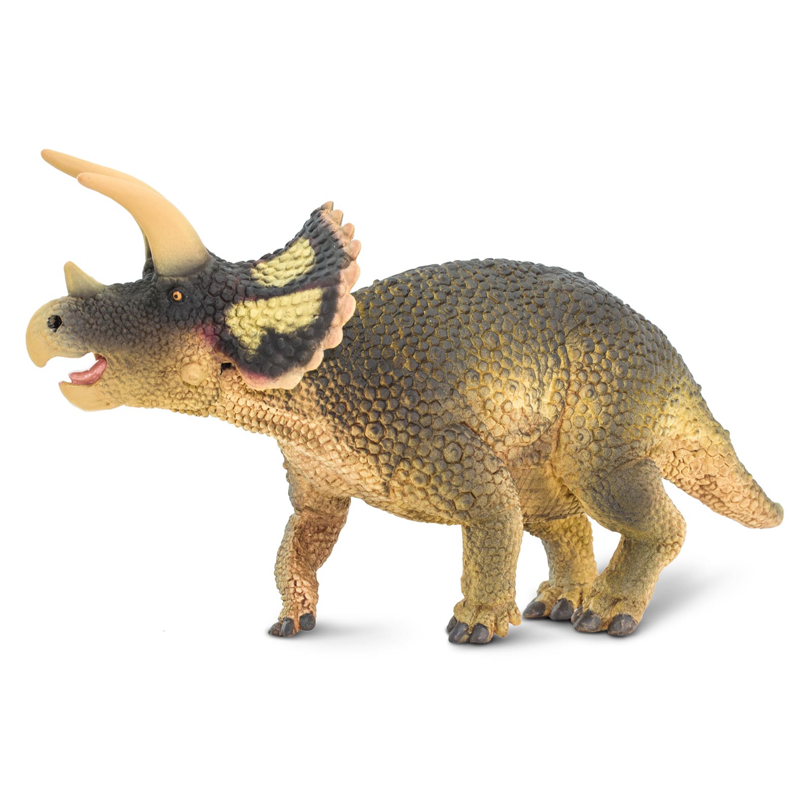 Safari Ltd&#xAE; Wild Safari&#xAE; Prehistoric World Triceratops