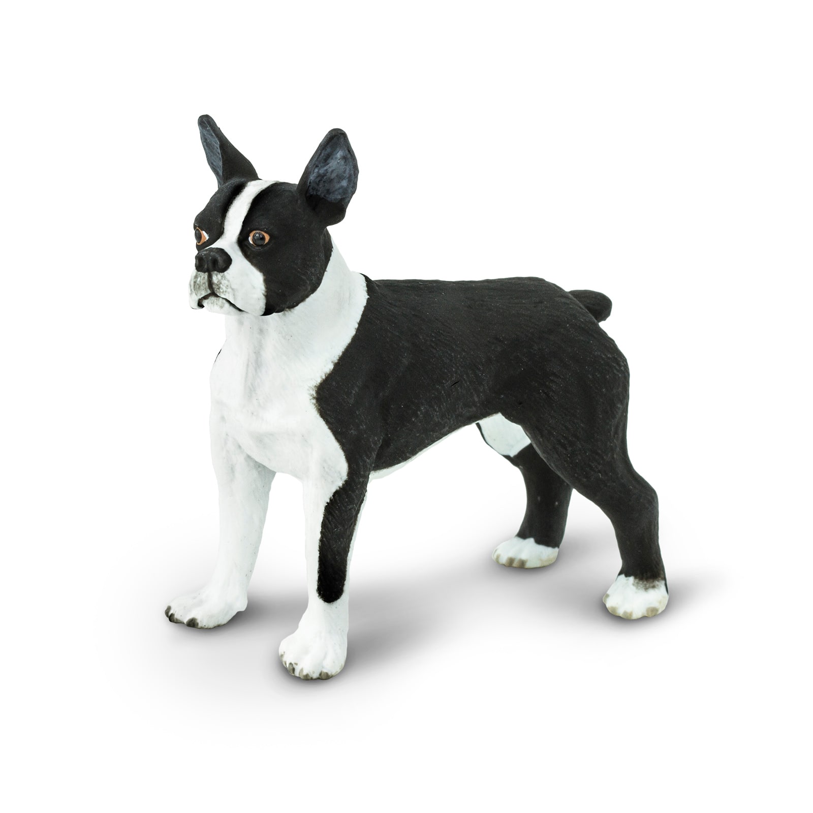 Safari Ltd&#xAE; Best In Show Dogs Boston Terrier
