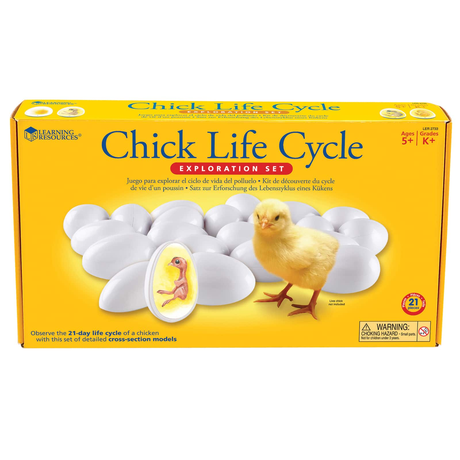 Learning Resources&#xAE; Chick Life Cycle Exploration Set