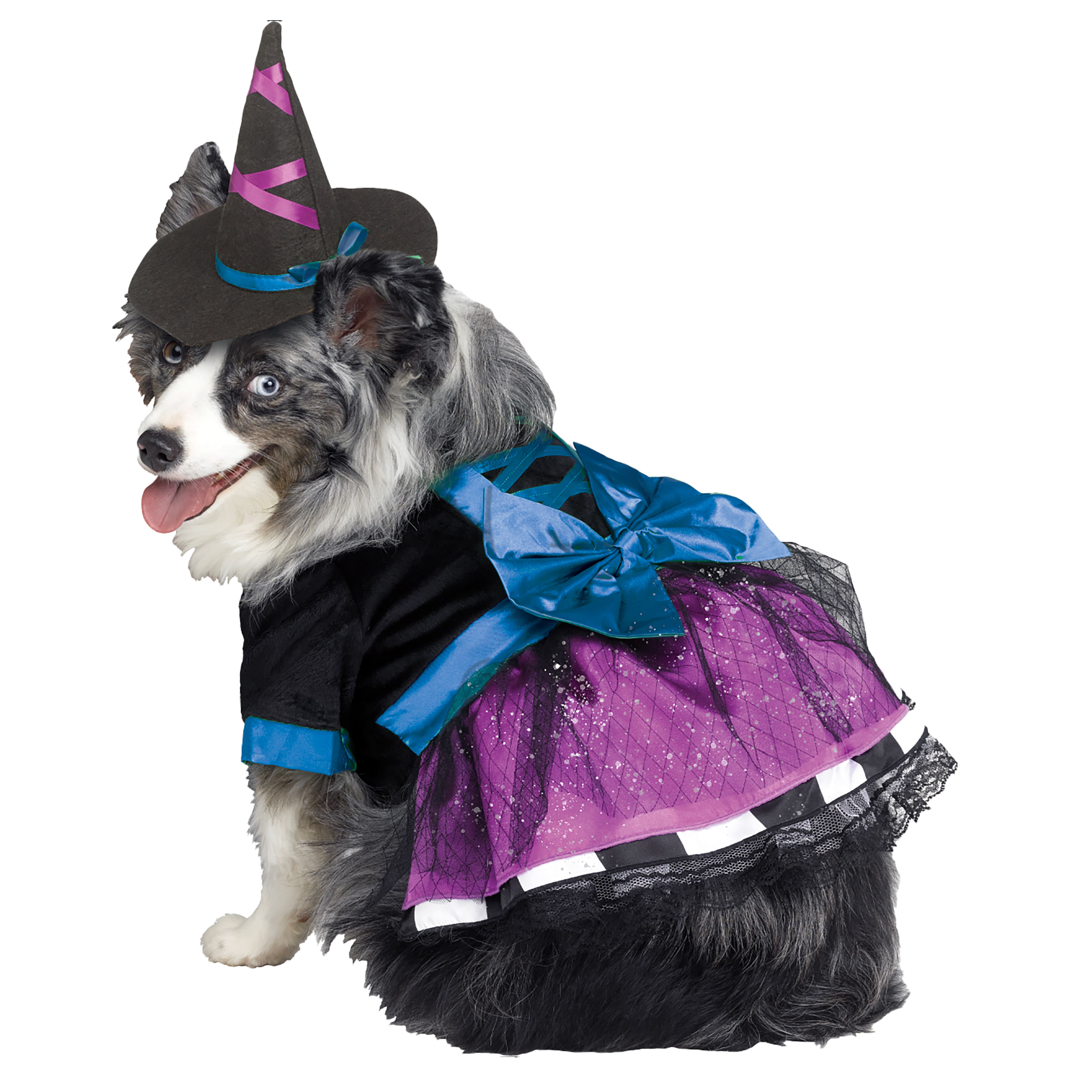 Witch Dog Costume by Ashland&#xAE;