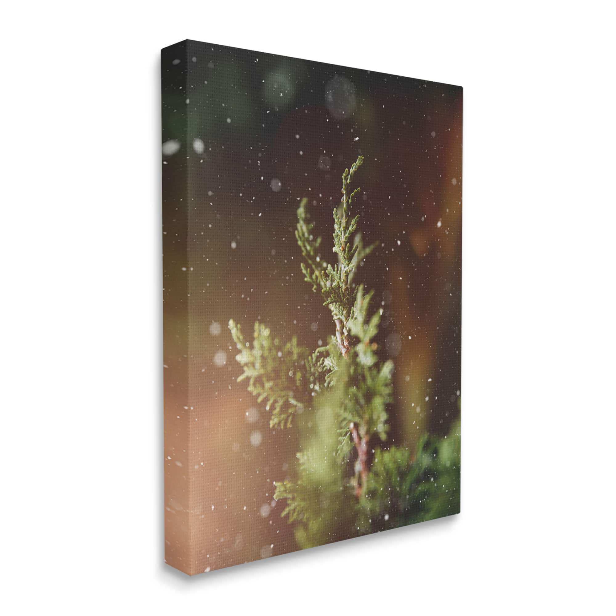 Stupell Industries Winter Snowfall Night Pine Tree Canvas Wall Art