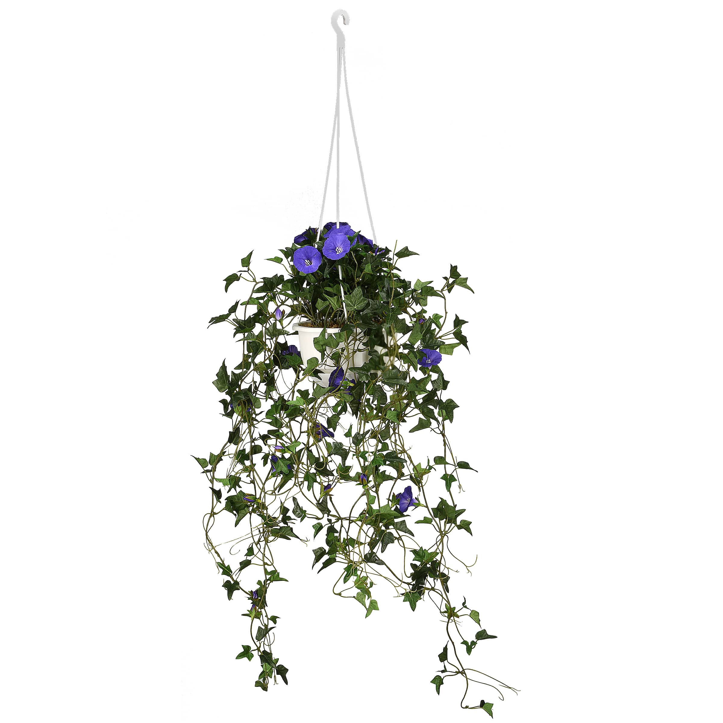 3.5ft. Purple Morning Glory Hanging Plant