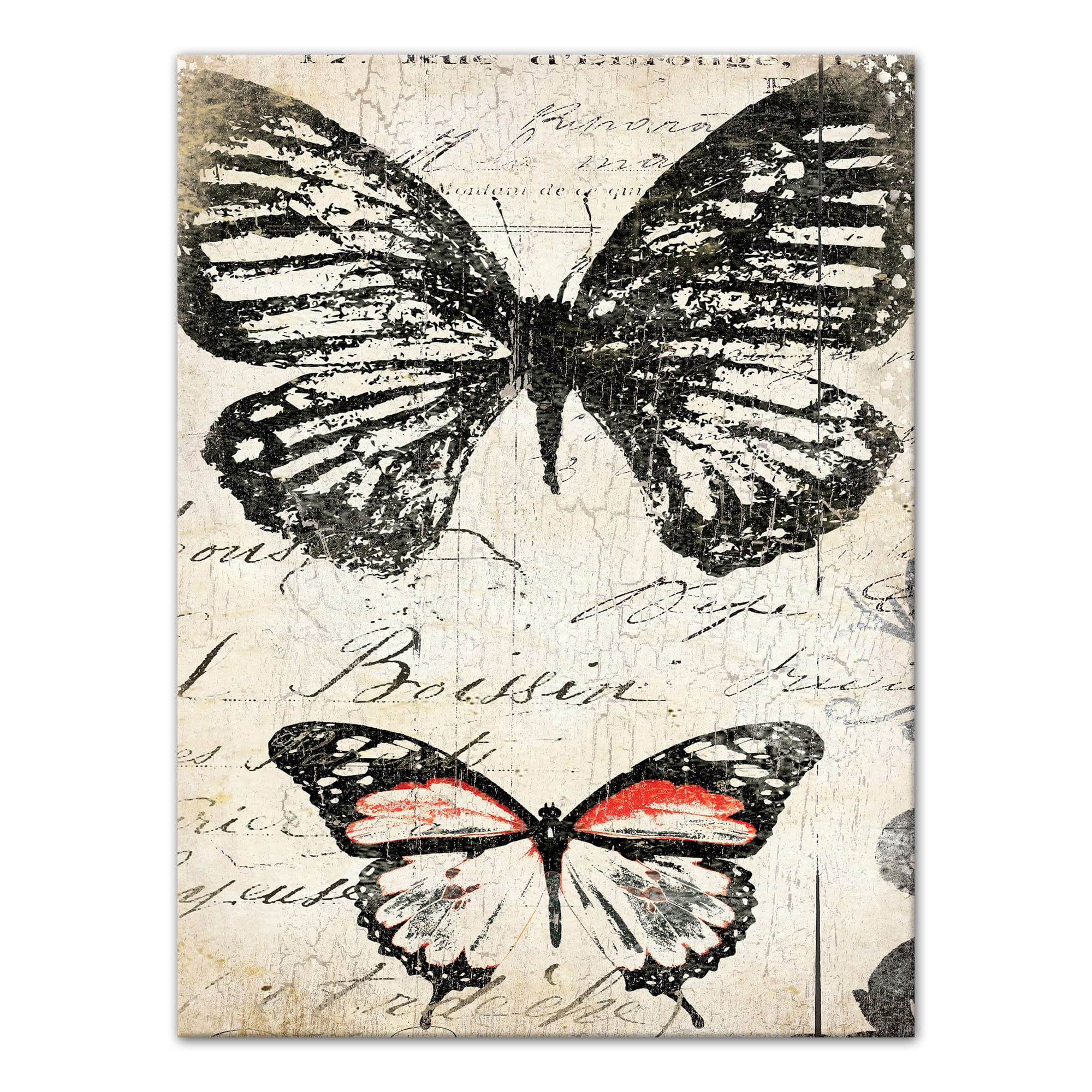 Double Butterfly 12" x 16" Canvas Wall Art