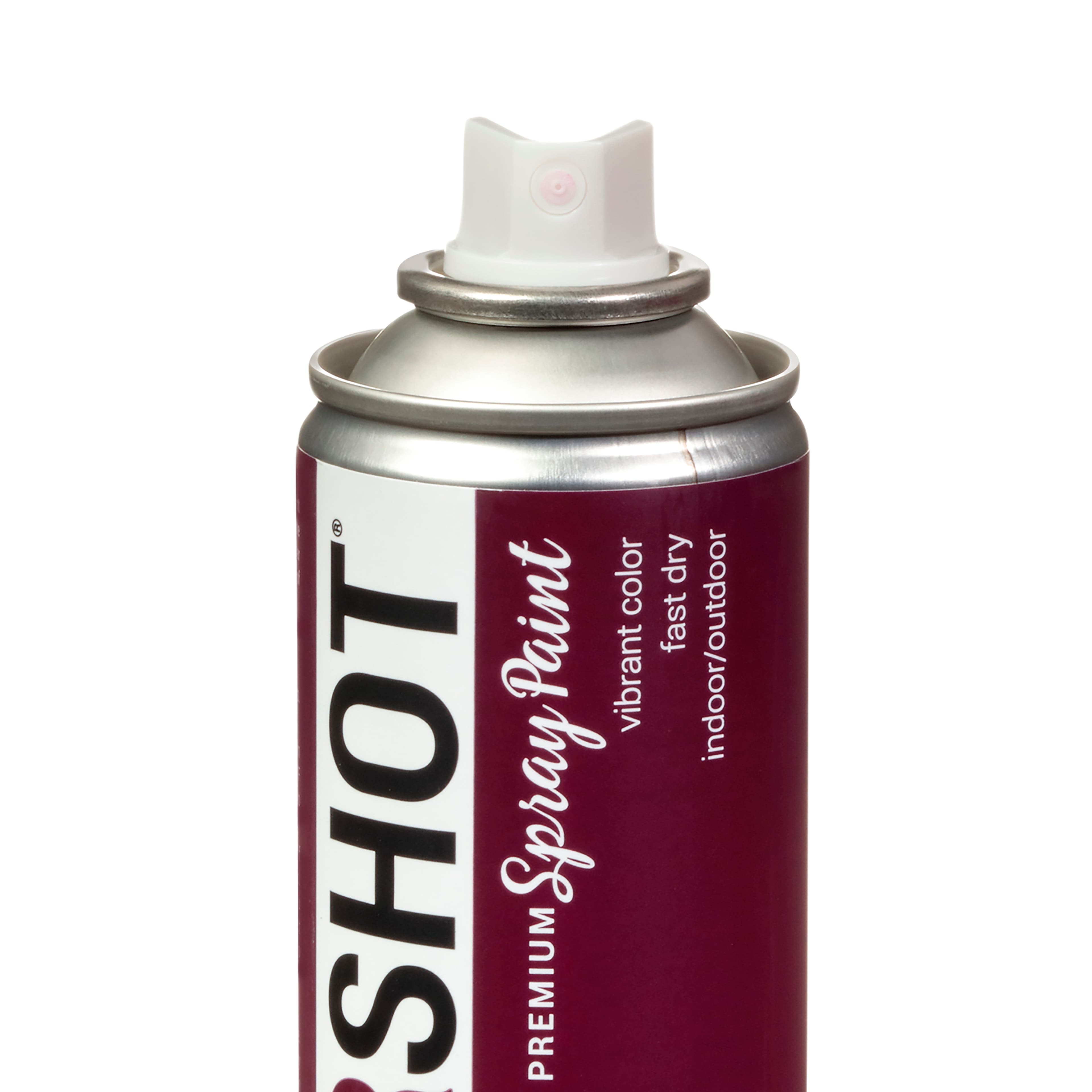 COLORSHOT® Premium Satin Spray Paint