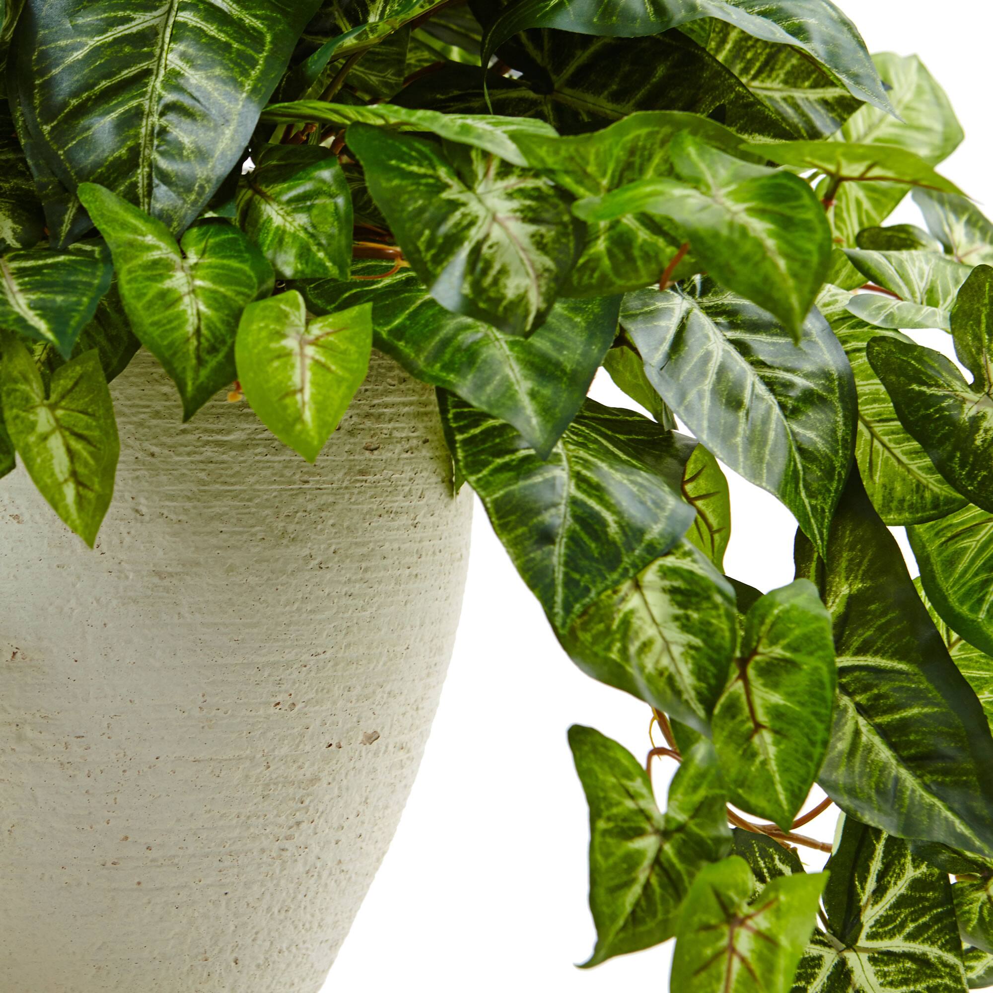 2ft. Nephthytis Artificial Plant in White Planter