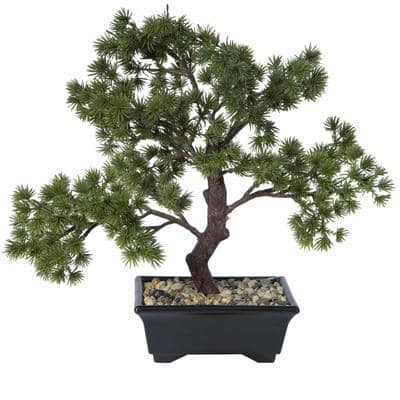 Cypress Bonsai Tree - Artificial & Faux Trees