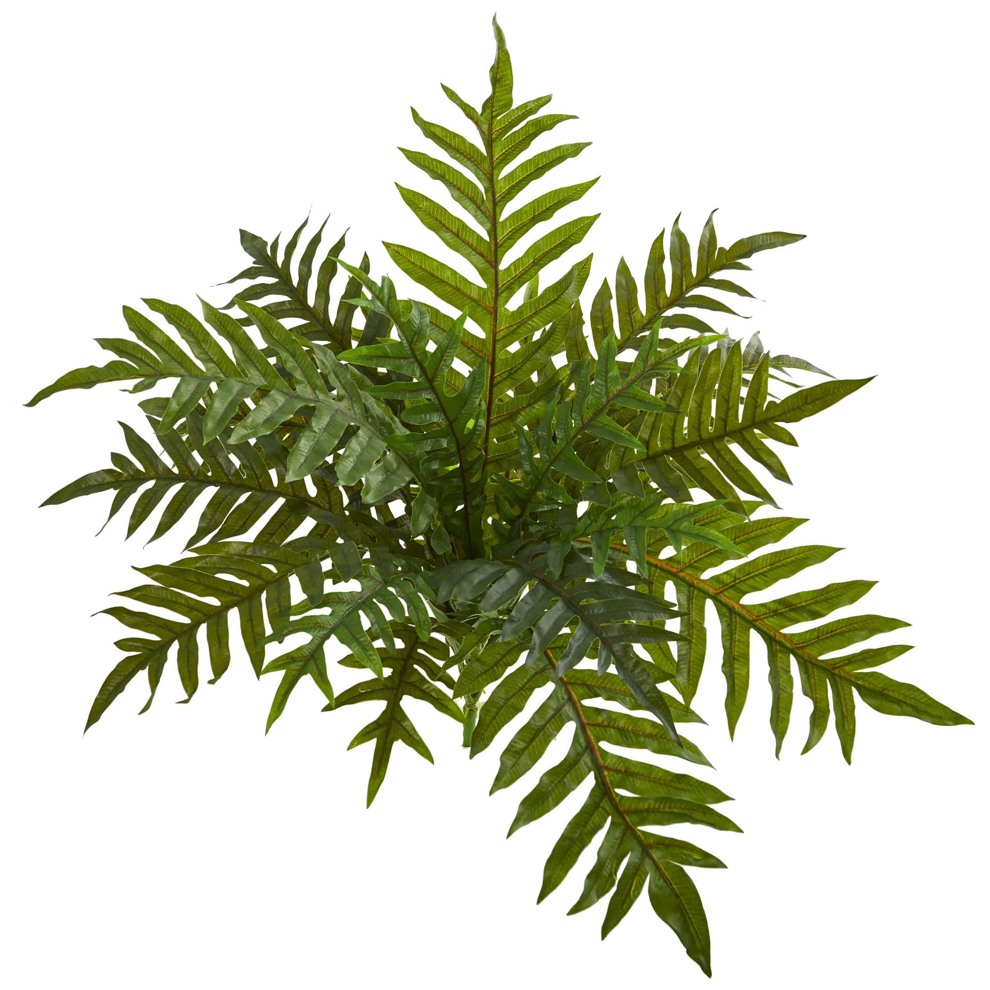 23" Hare's Foot Fern Bush Artificial Plant, 3ct.
