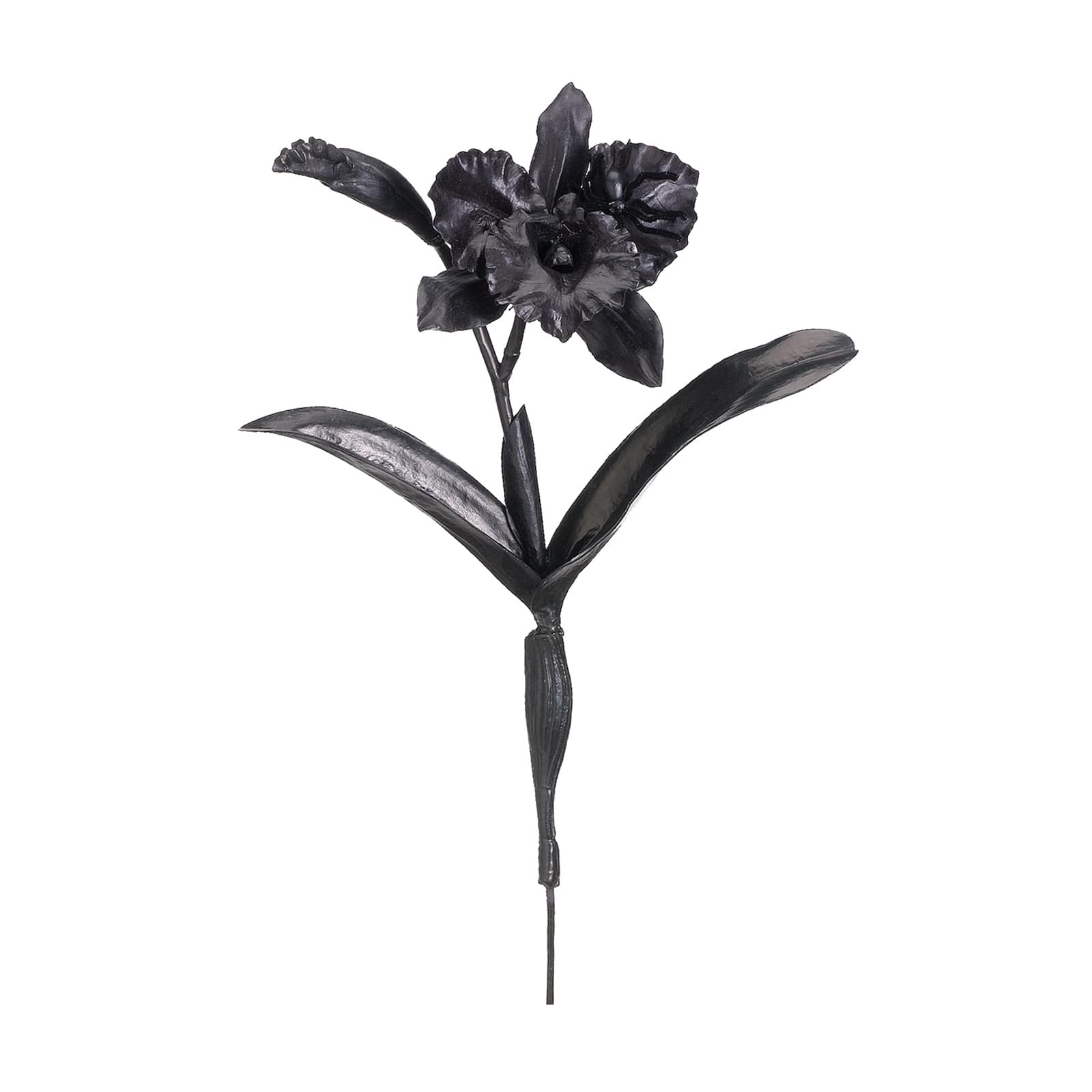 Purchase The Black Cattleya Orchid Spray With Spider At Michaels Com