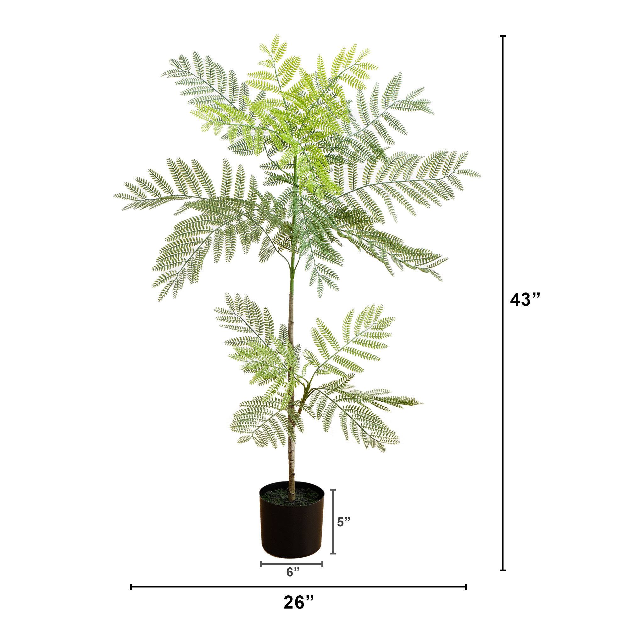 3.5ft. Artificial Minimalist Jacaranda Tree