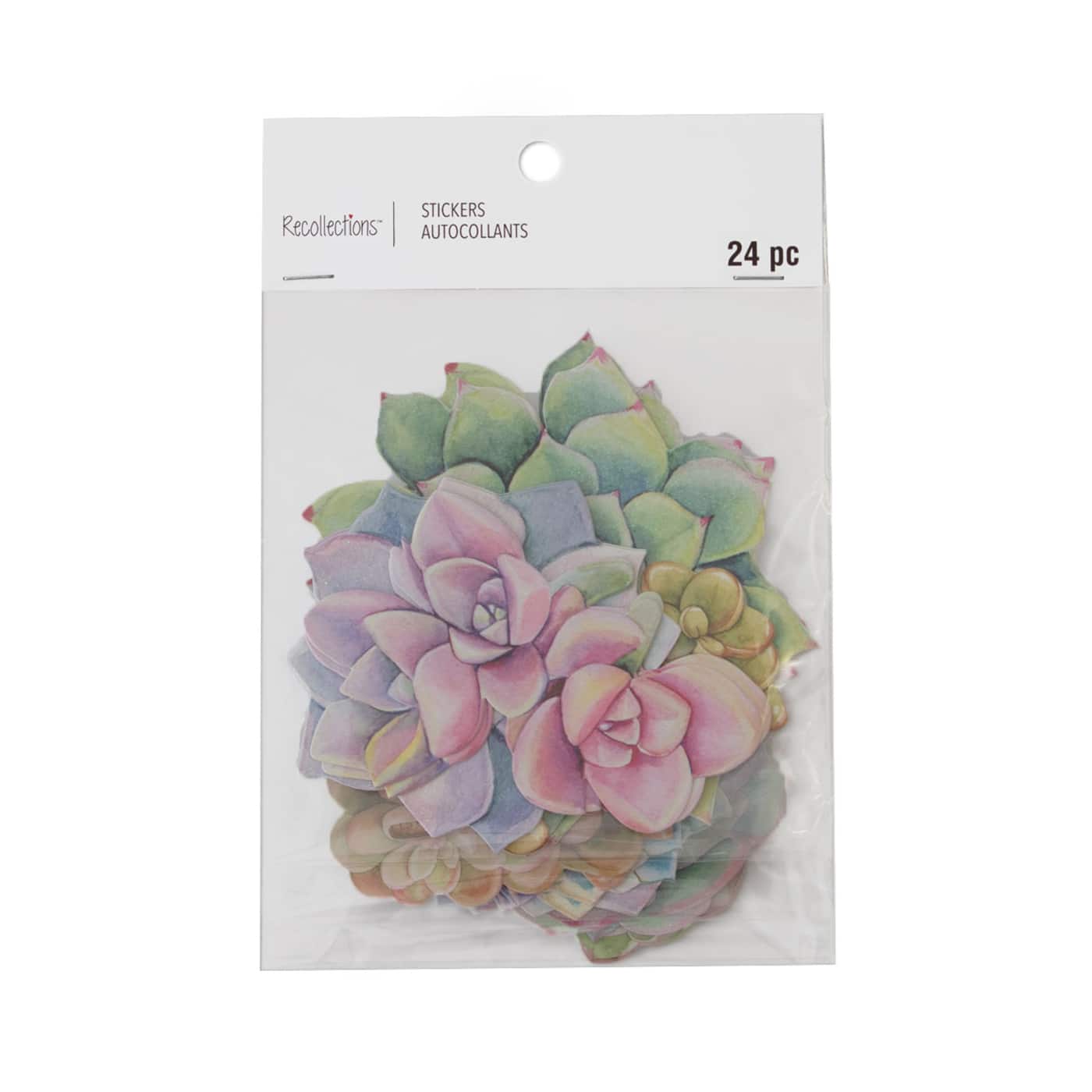 12 Pack: Succulent Die Cut Stickers by Recollections™