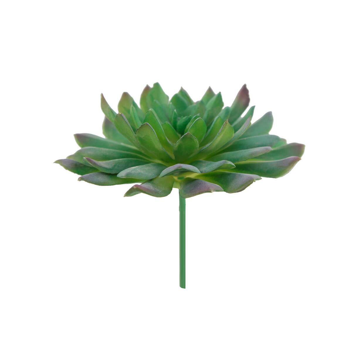 Flora Bunda&#xAE; Succulent Pick, 6ct.