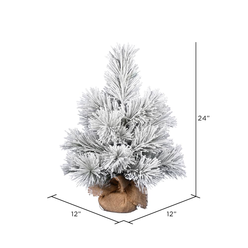 24" Unlit Frosted Beckett Pine Artificial Christmas Tree
