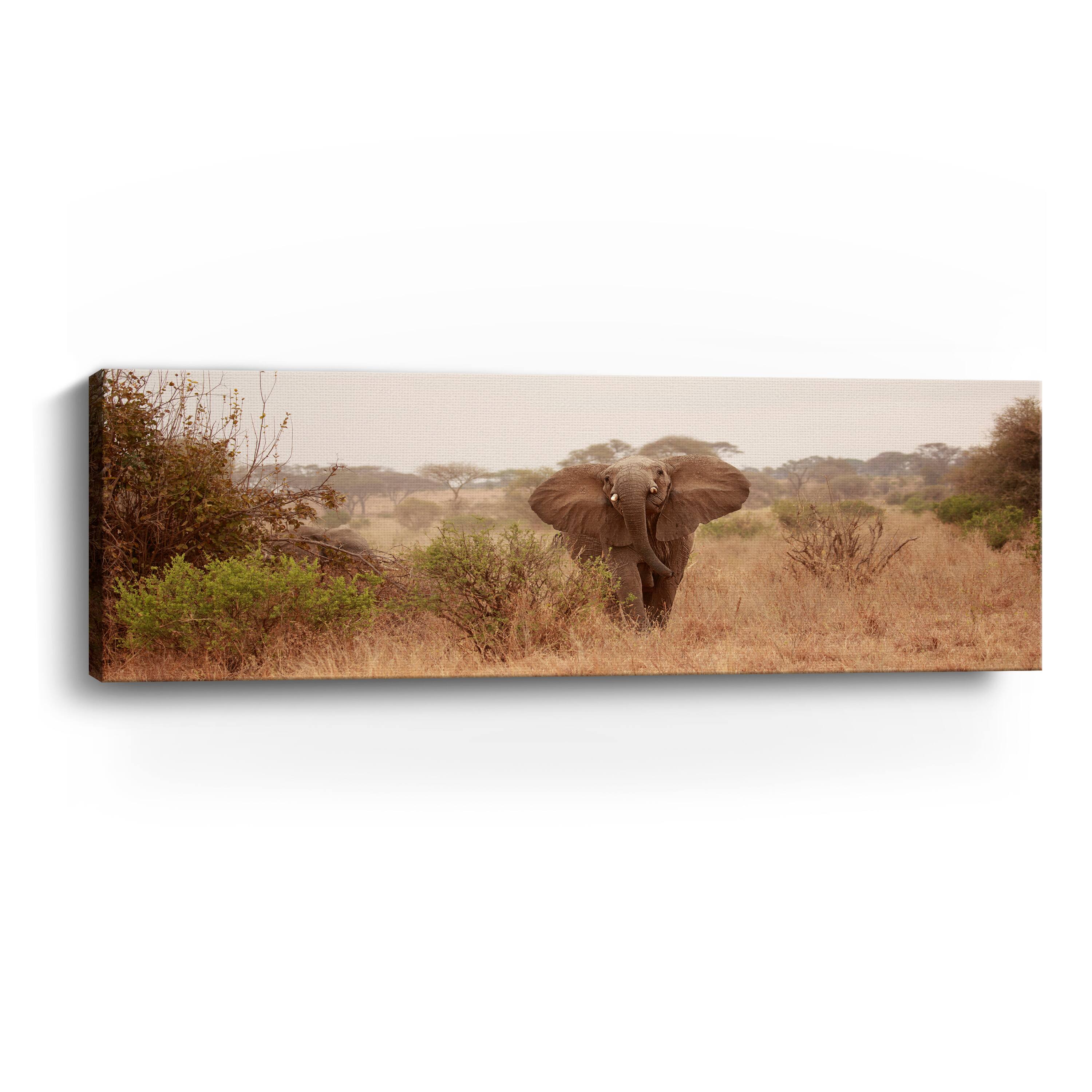 Elephant In The Savannah Canvas Giclee
