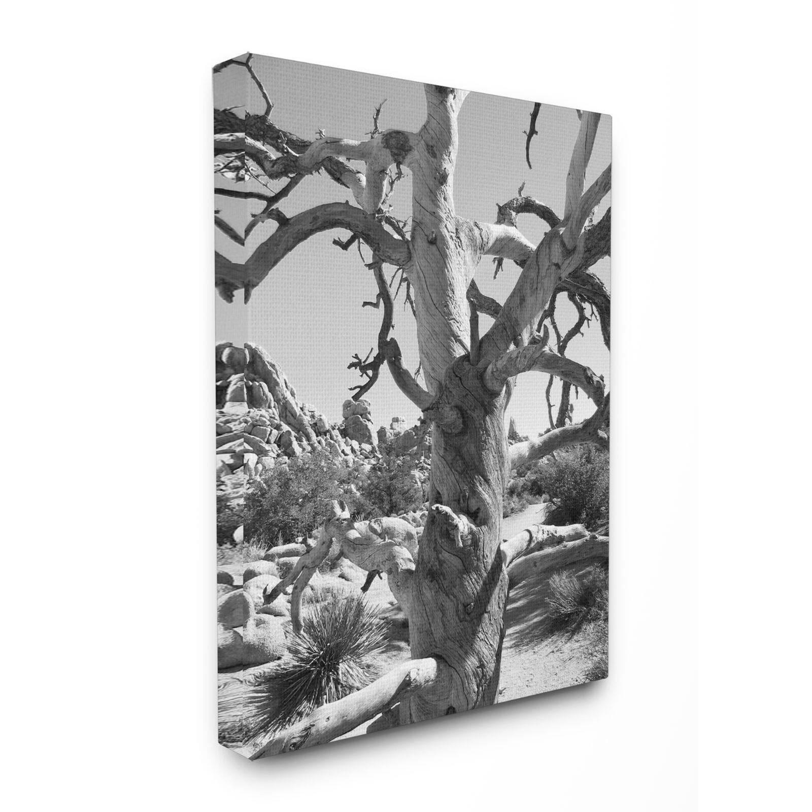 Stupell Industries Desert Tree Photograph Canvas Wall Art