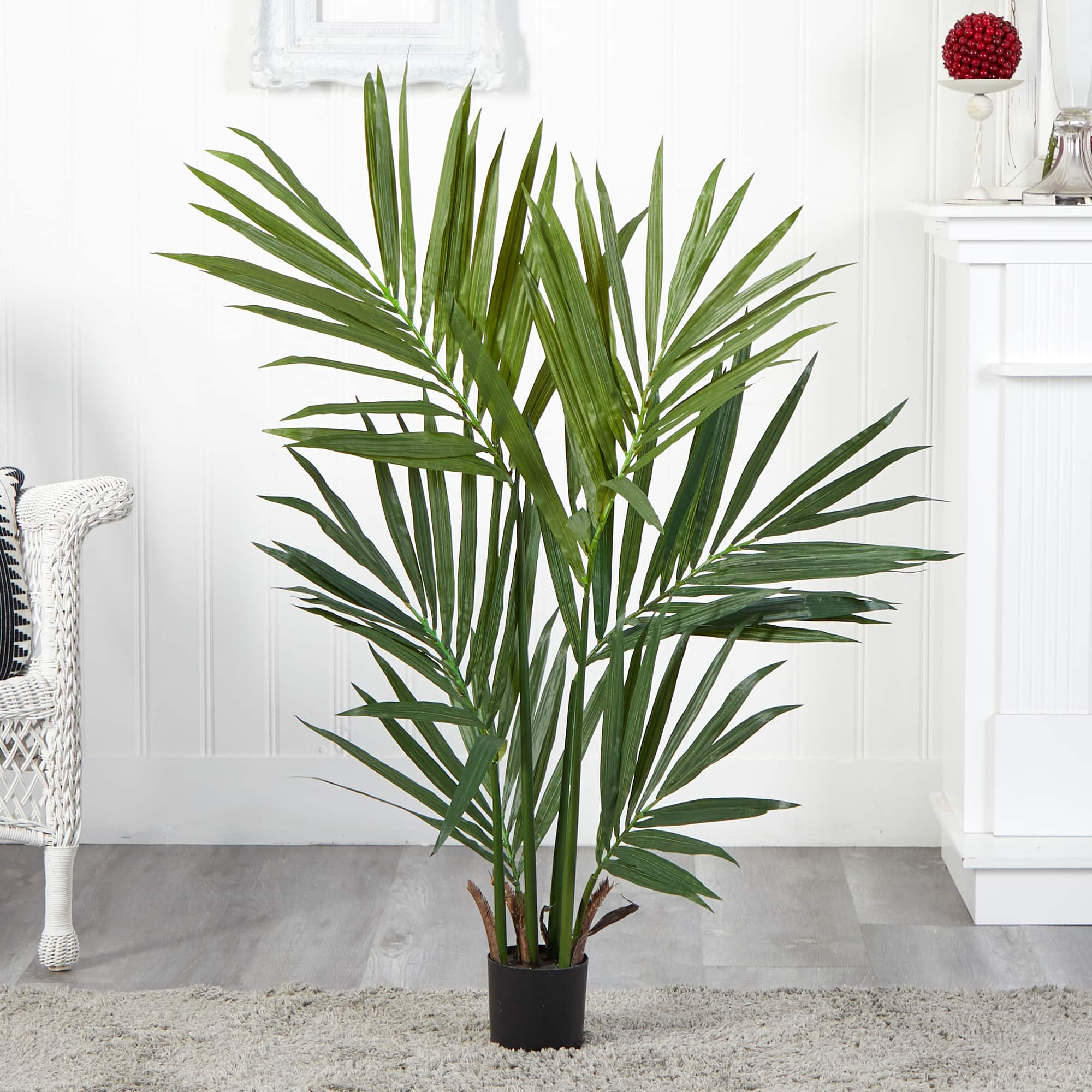 4ft. Potted Kentia Palm Silk Tree