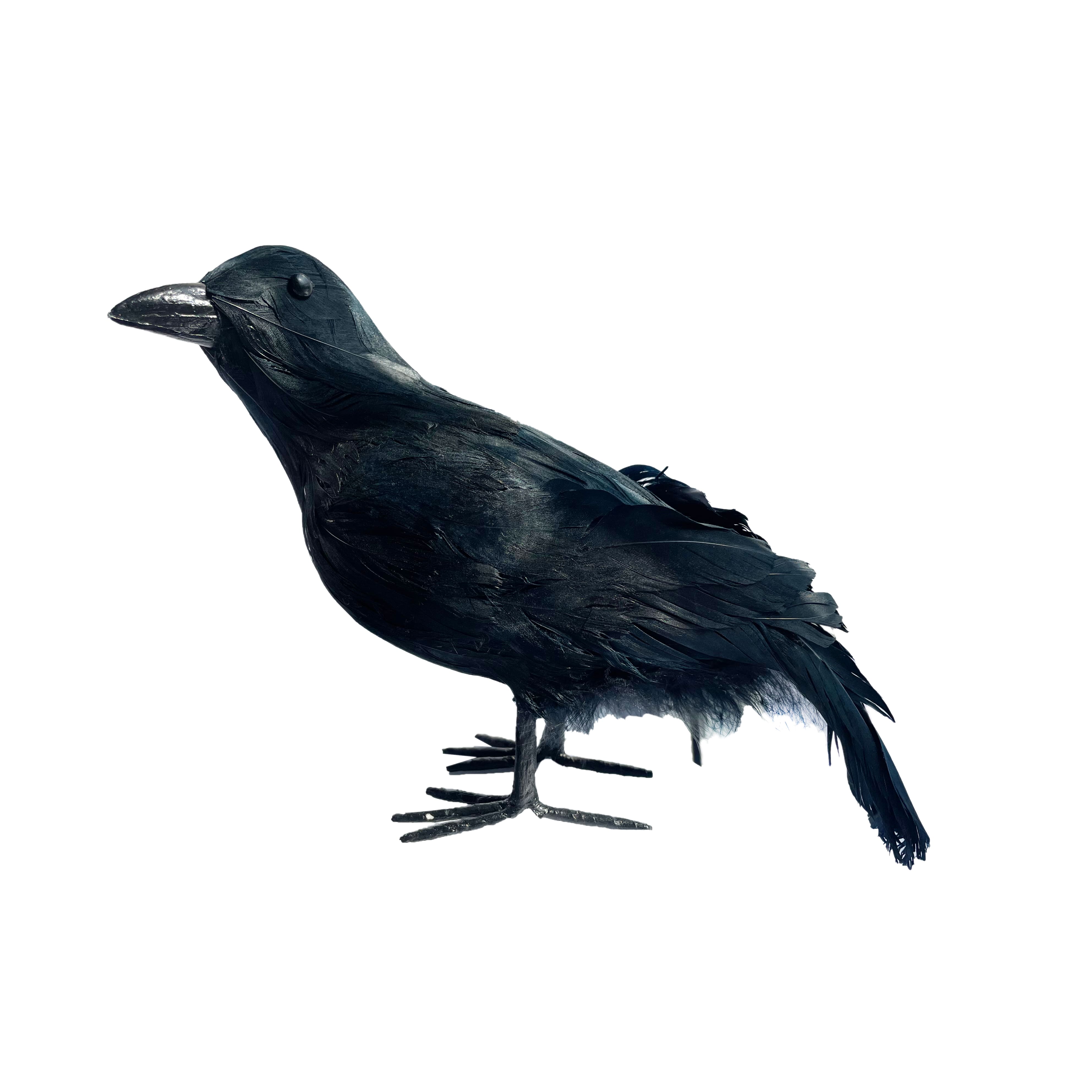 7.5&#x22; Iridescent Black Crow by Ashland&#xAE;