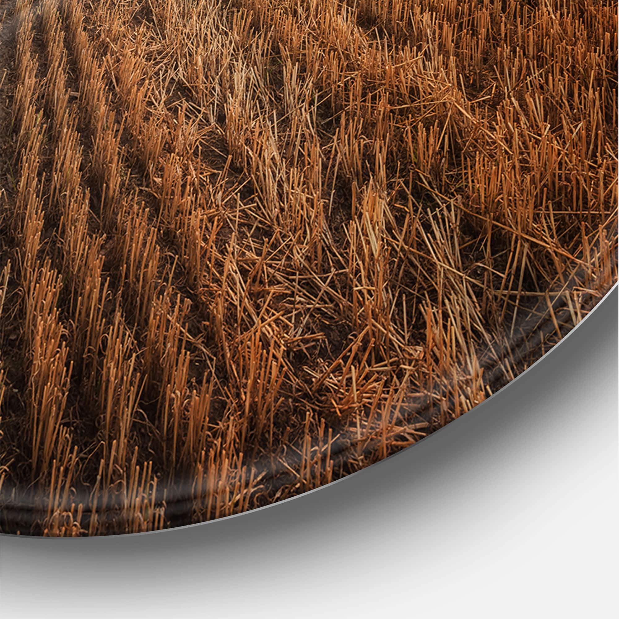 Designart - Landscape With A Field Full of Hay Bales At Sunset - Farmhouse Metal Circle Wall Art