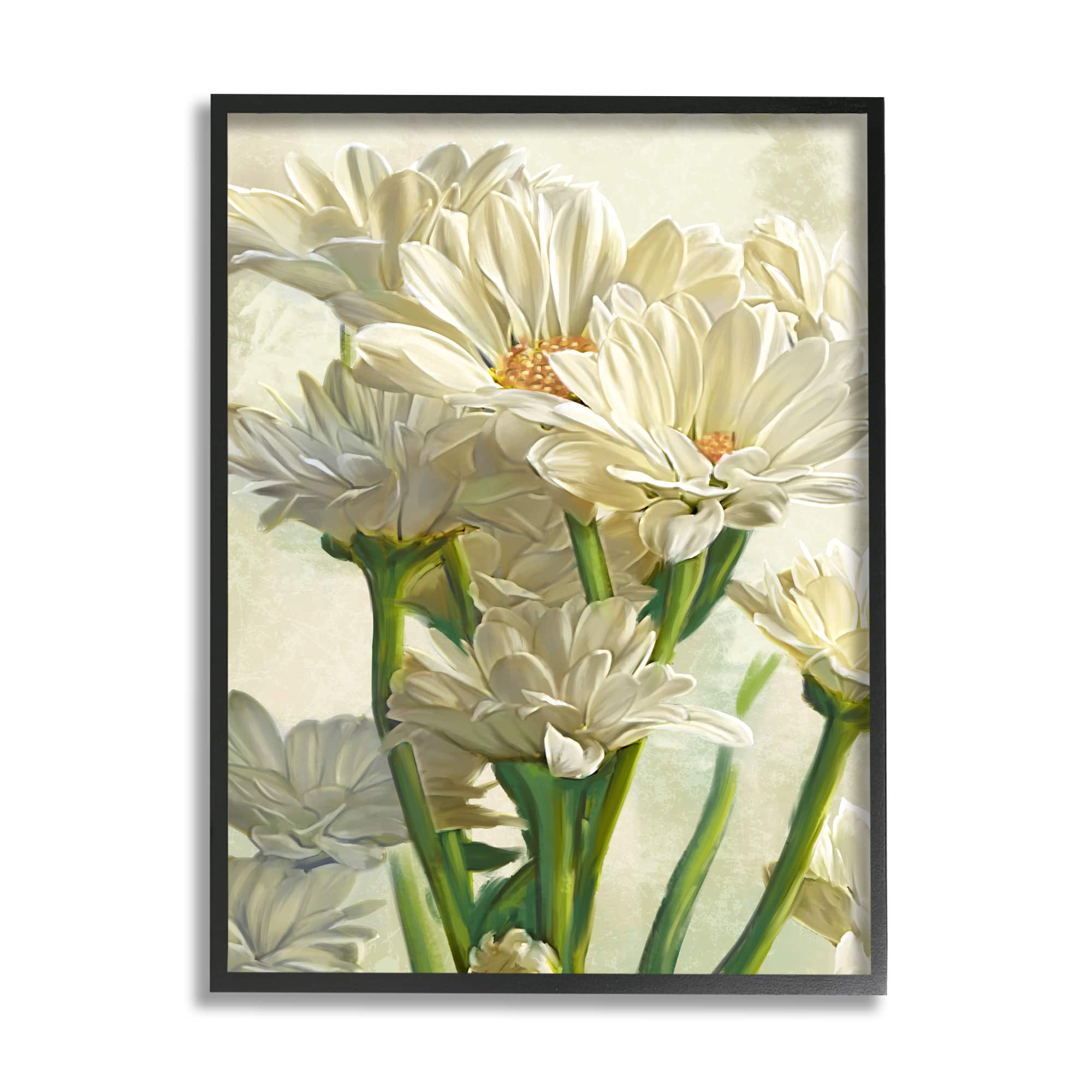 Stupell Industries Study of White Daisy Petals Framed Wall Art