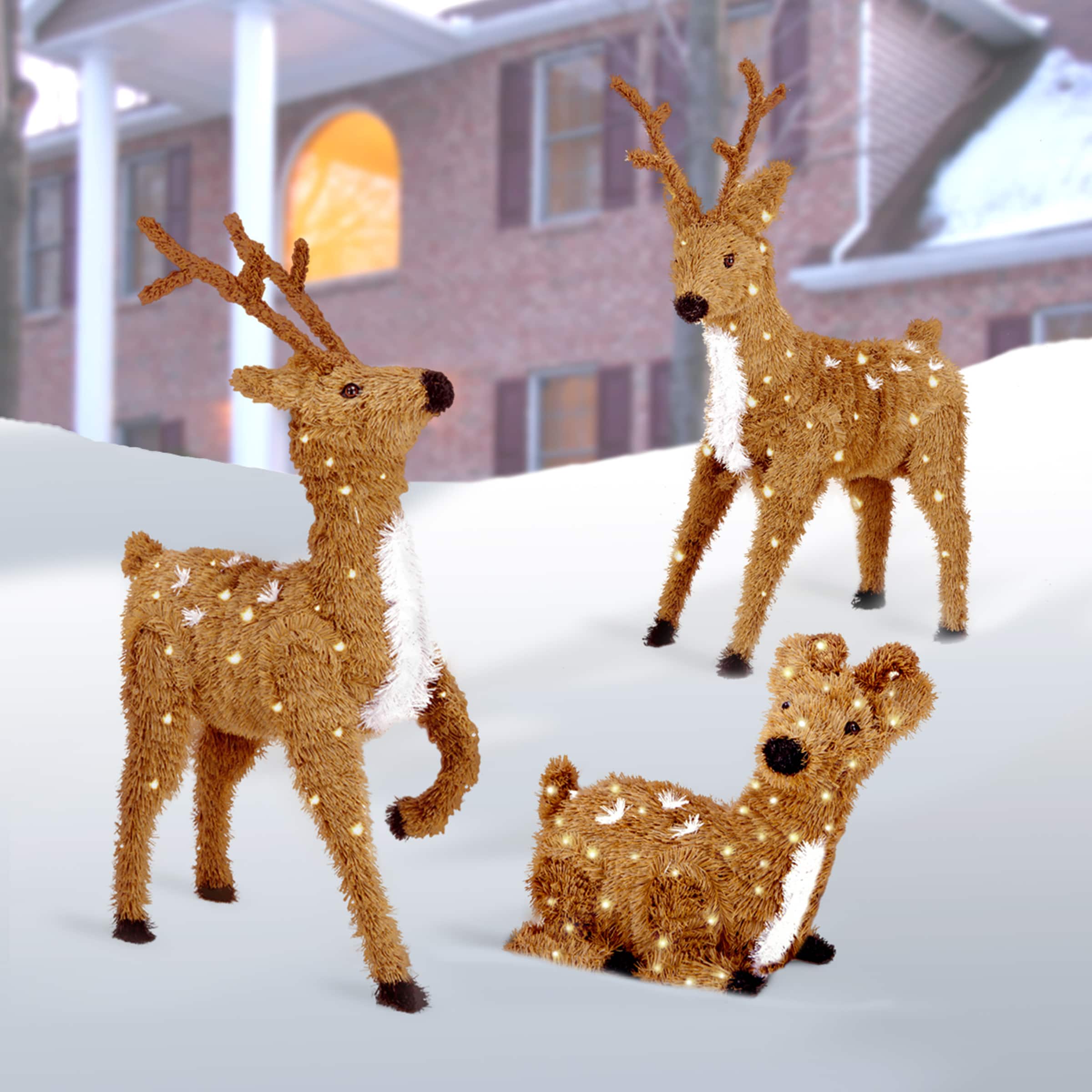 2ft. Brown Resting Reindeer with 100 Clear Lights