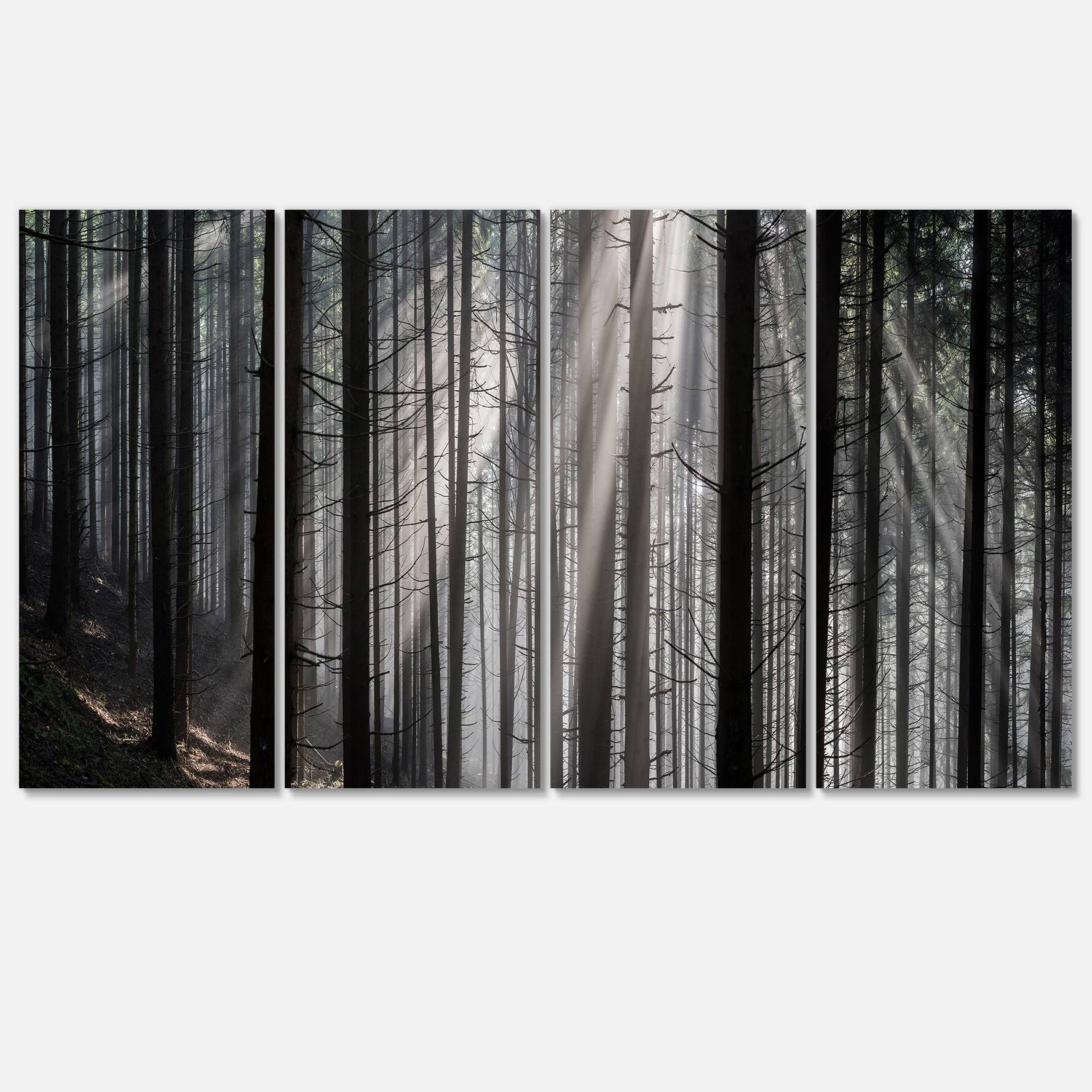 Designart - Sunbeams Peeking Through Dark Forest