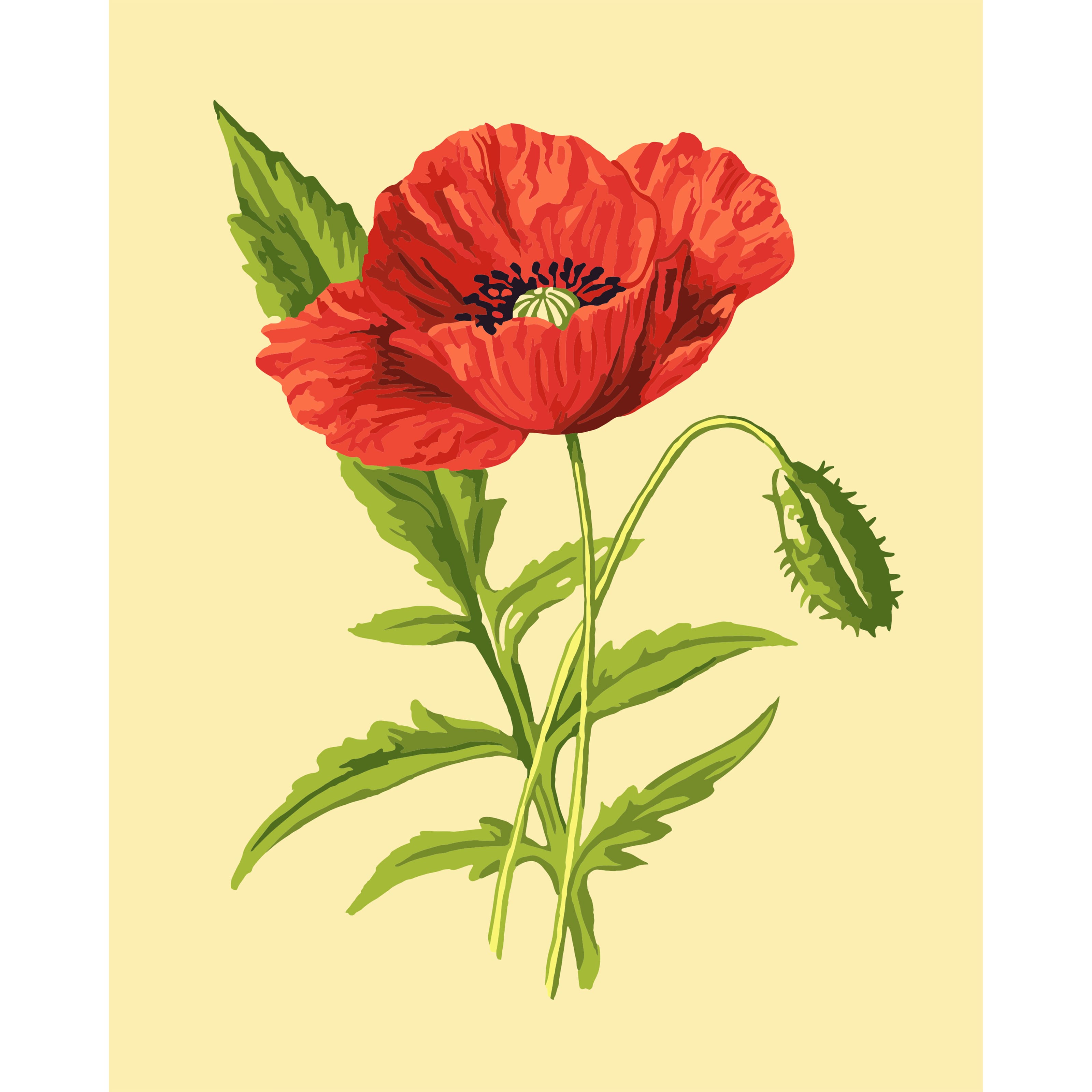 8" x 10" Vintage Poppy Paint-by-Number Kit with Wood Display Hanger by Artist's Loft®