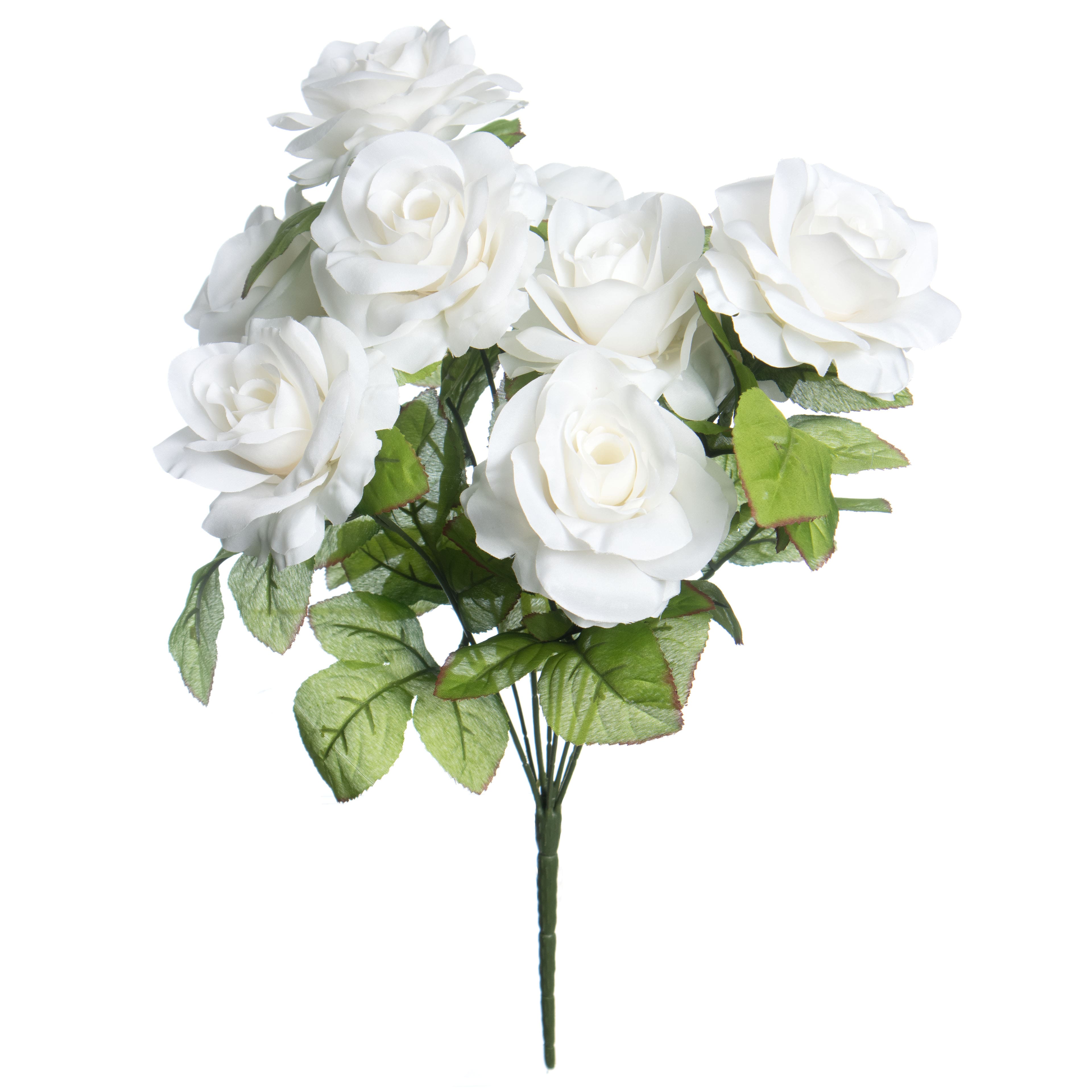 White Rose Bush by Ashland&#xAE;