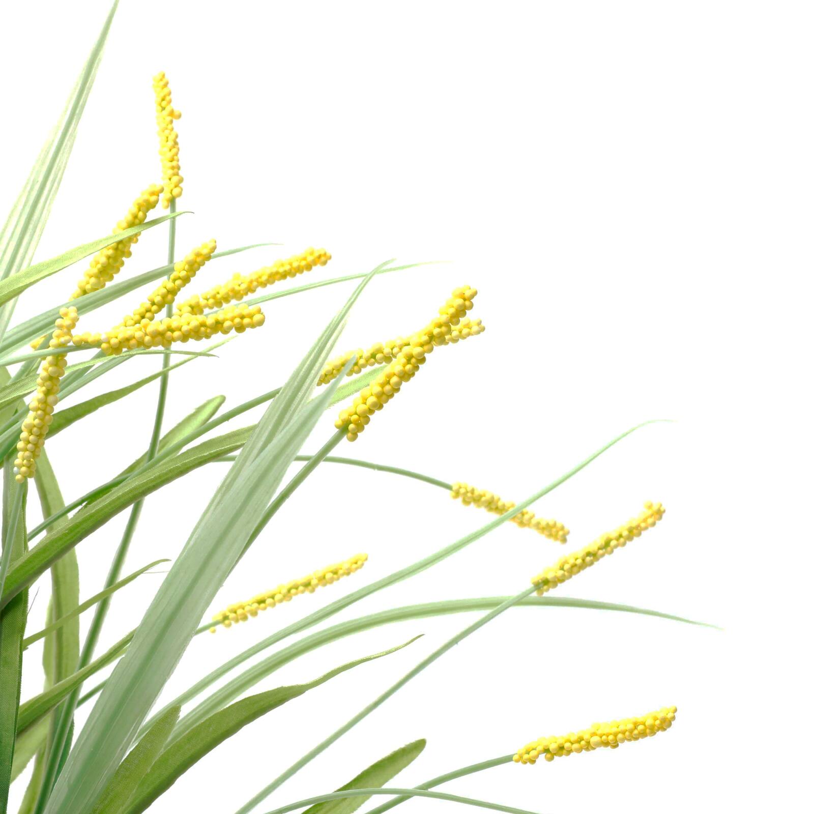 Yellow Berry & Grass Bush by Ashland®
