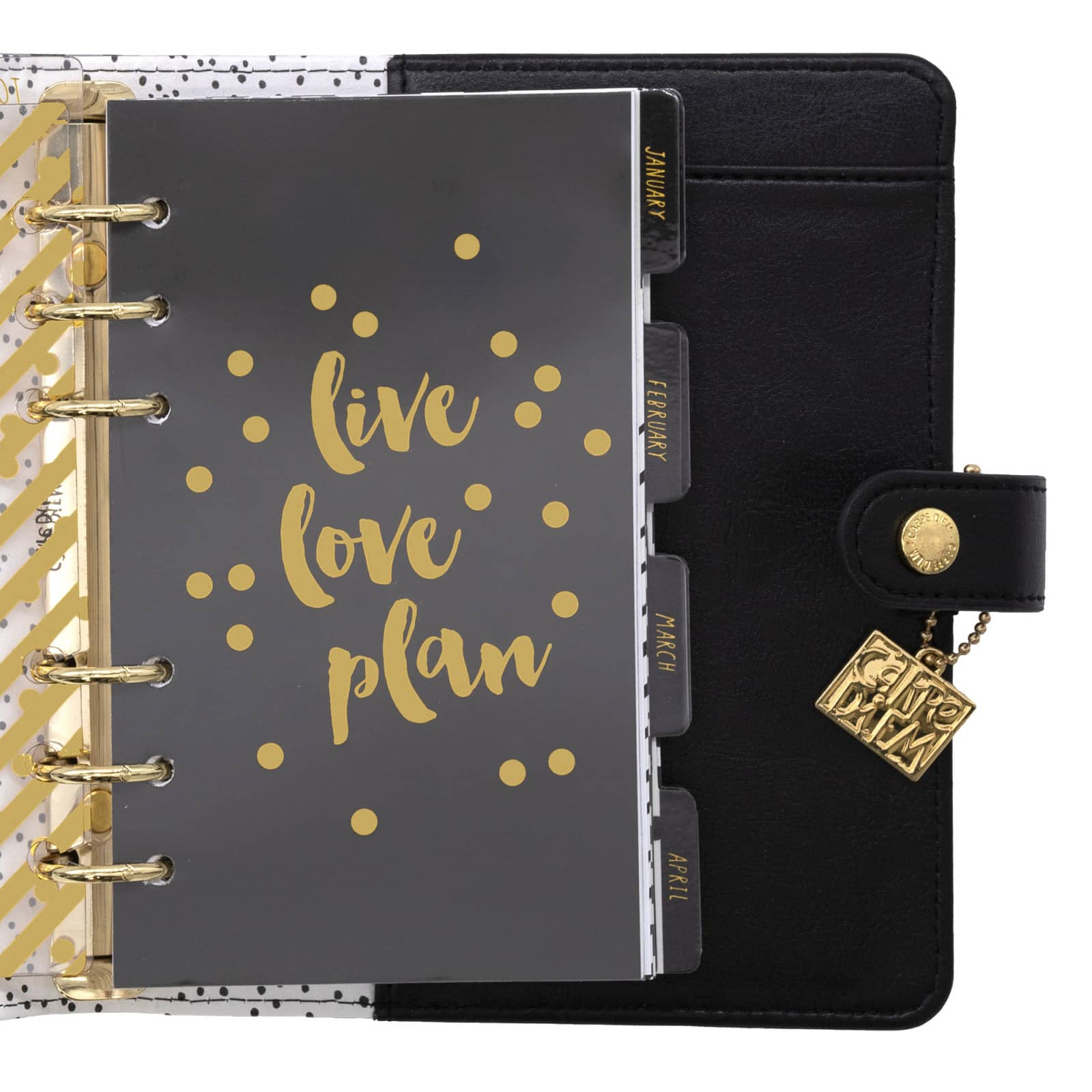 Carpe Diem Buffalo Check Personal Planner