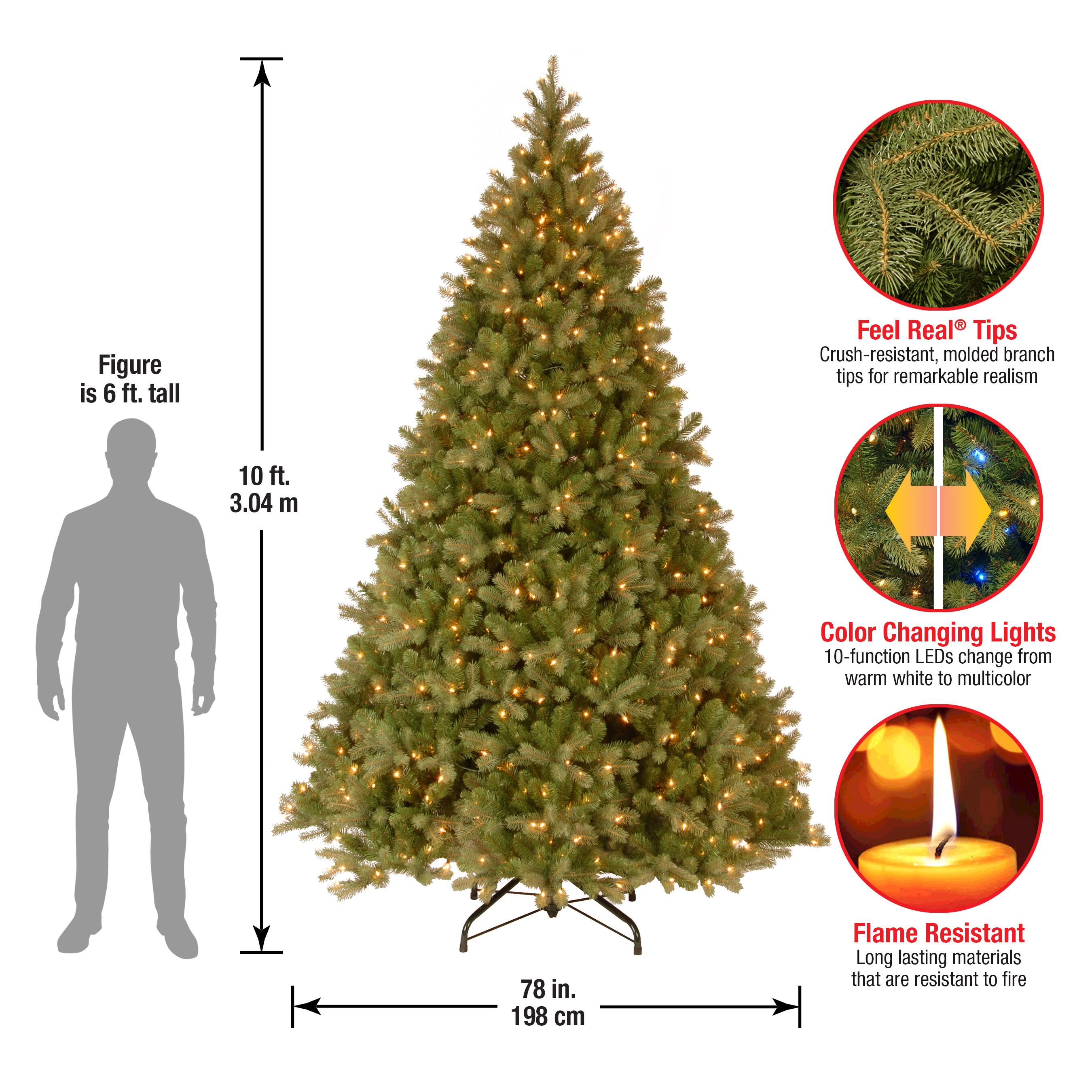 10ft. Pre-Lit Downswept Douglas&#xAE; Fir Tree, Dual Color LED Lights