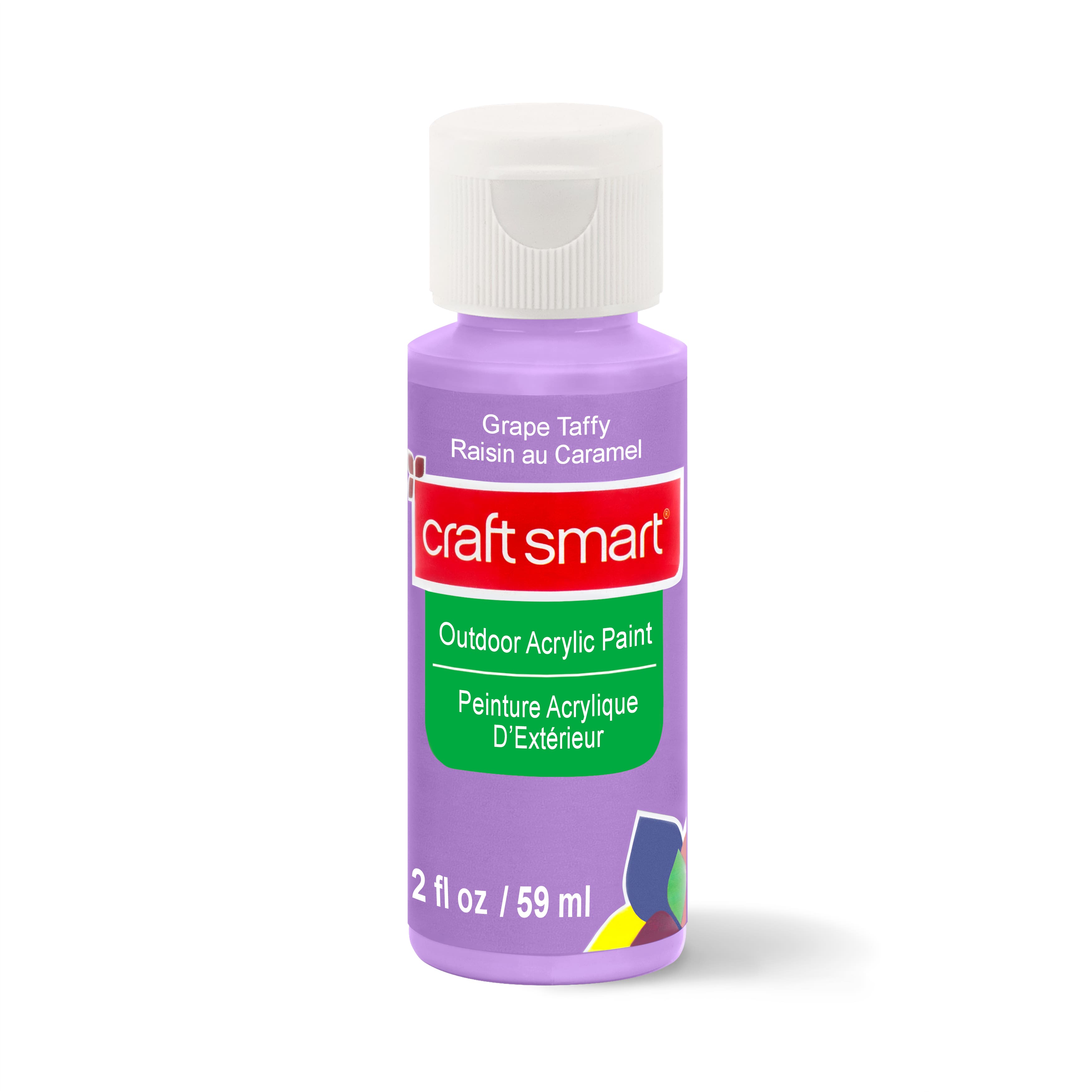 12 Pack: Outdoor Acrylic Paint by Craft Smart®, 2oz.