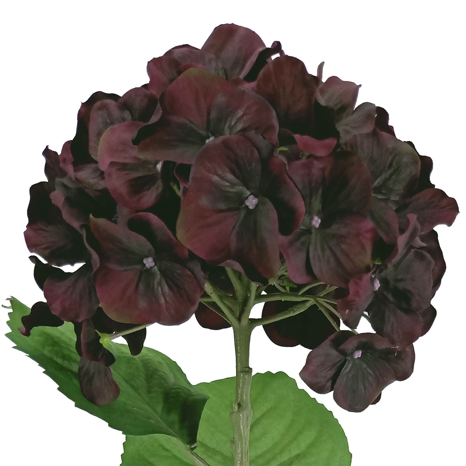 12 Pack: Black &#x26; Purple Hydrangea Stem by Ashland&#xAE;