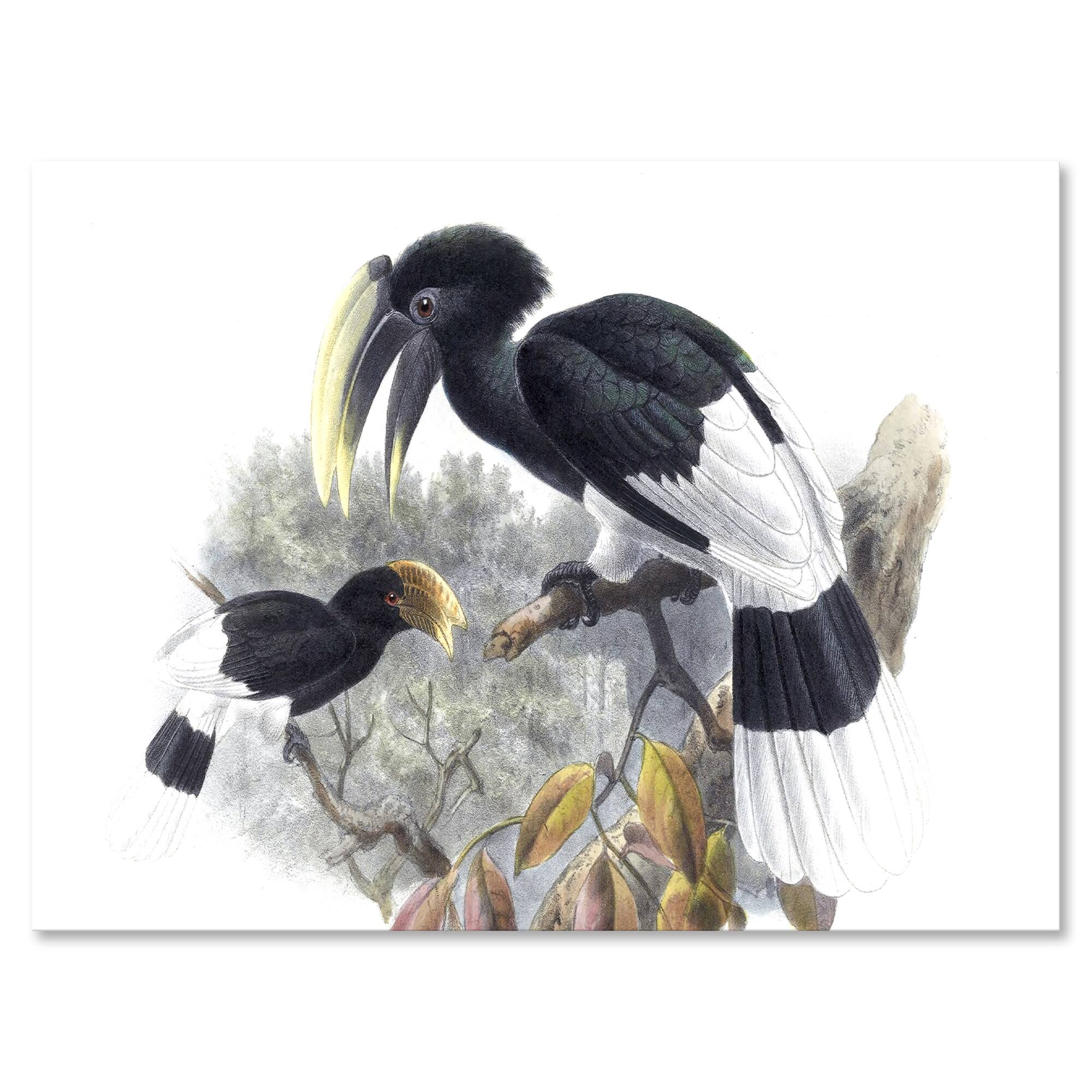 Designart - Vintage Bird Illustration I - Traditional Canvas Wall Art Print