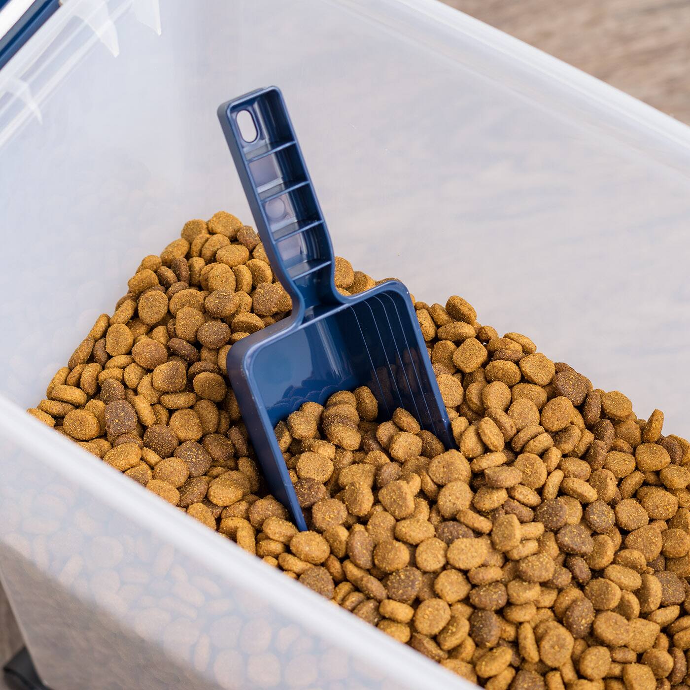 IRIS® Airtight Container Set with Blue Buckle Lid