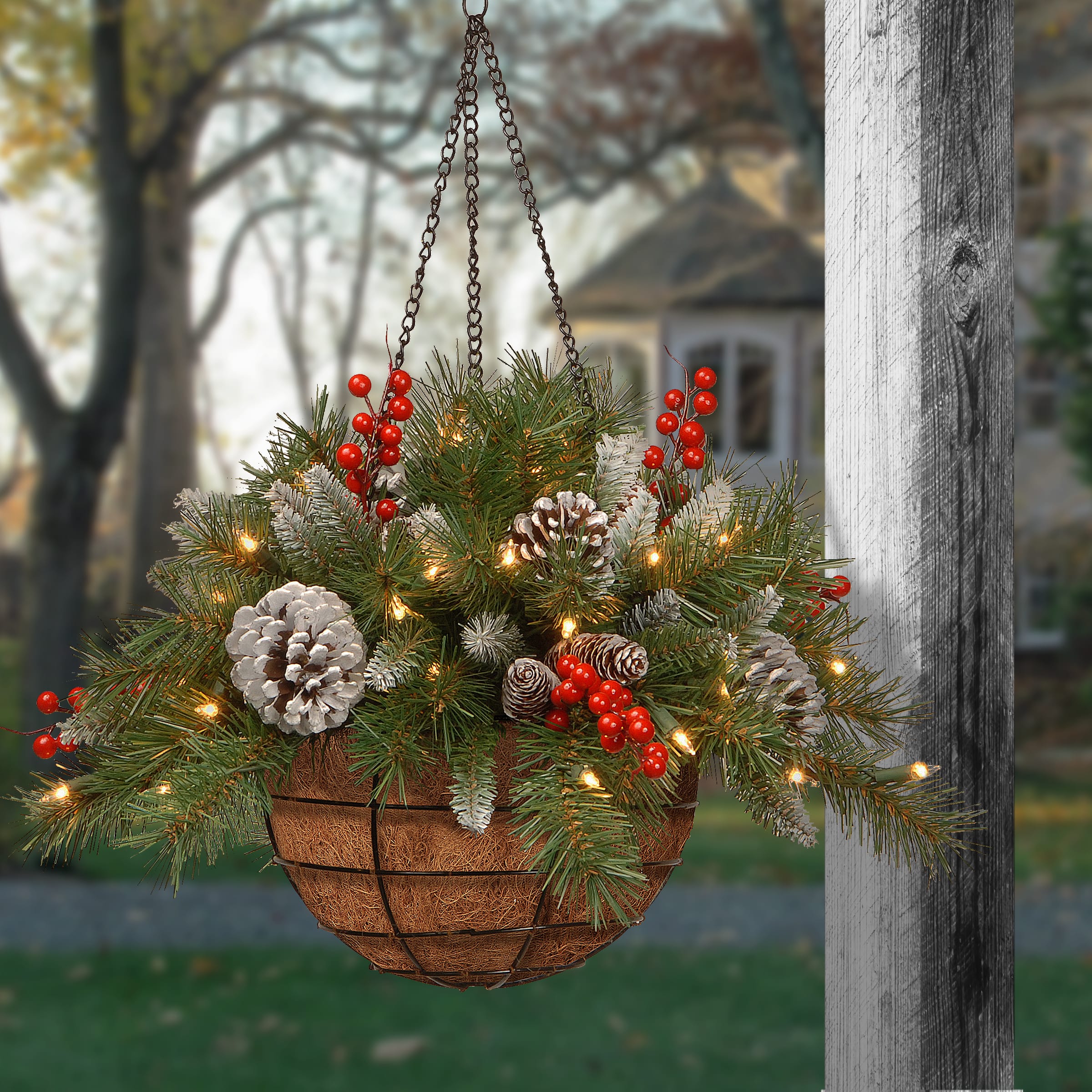 20&#x22; Pre-lit Frosted Berry Artificial Christmas Hanging Basket with Cones, Red Berries and Warm White LED Lights