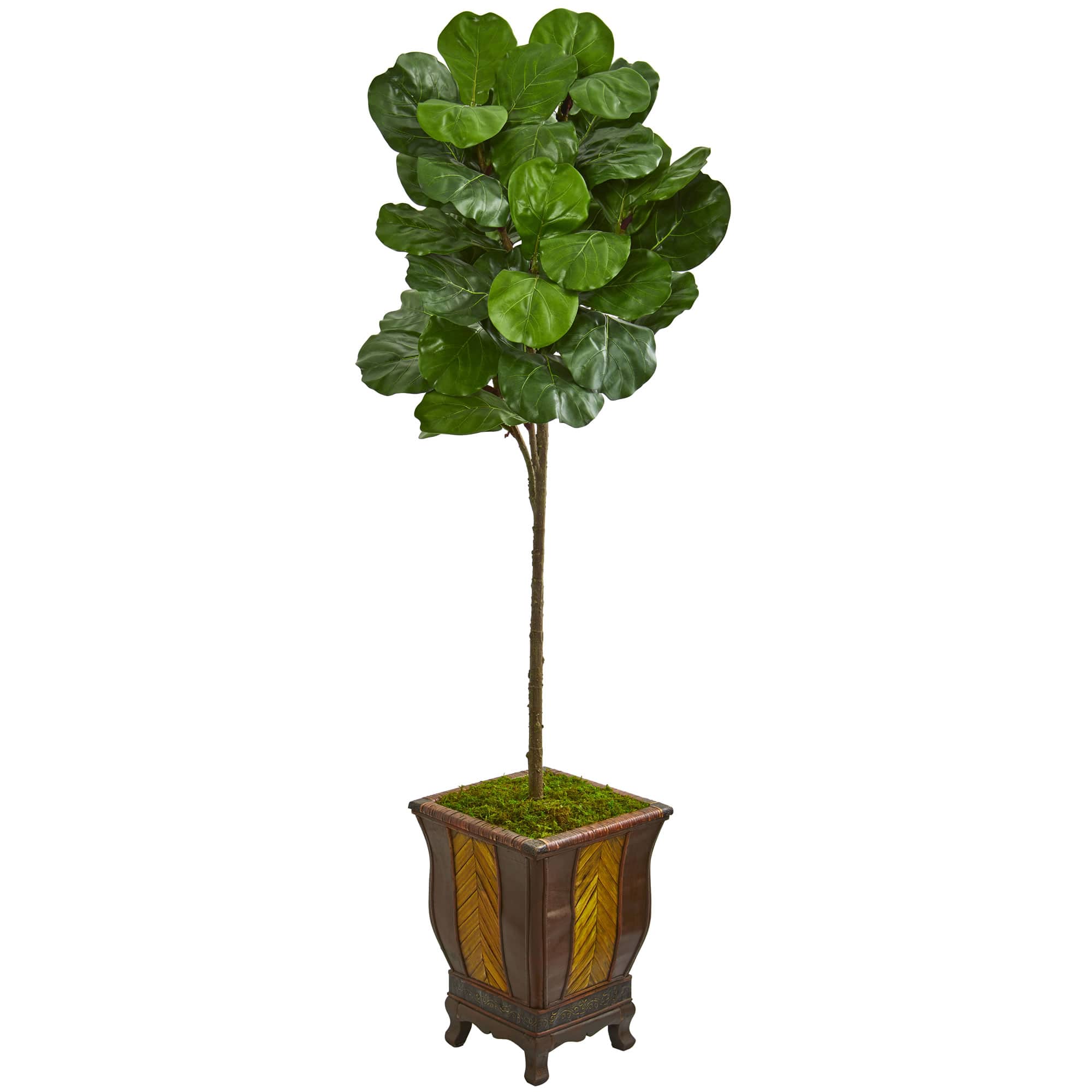 6ft. Green Fiddle Leaf Tree in Decorative Planter