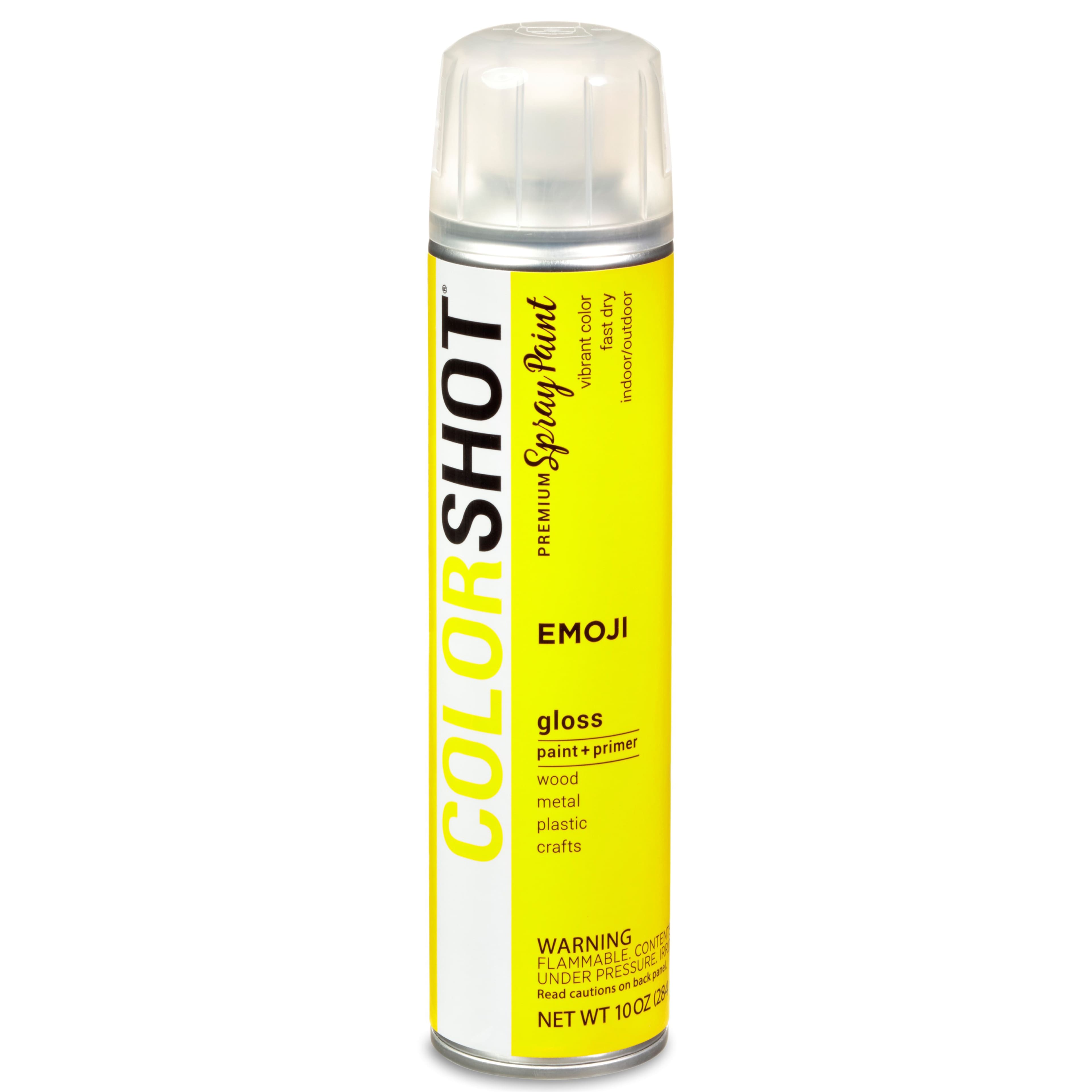 COLORSHOT® Premium Gloss Spray Paint