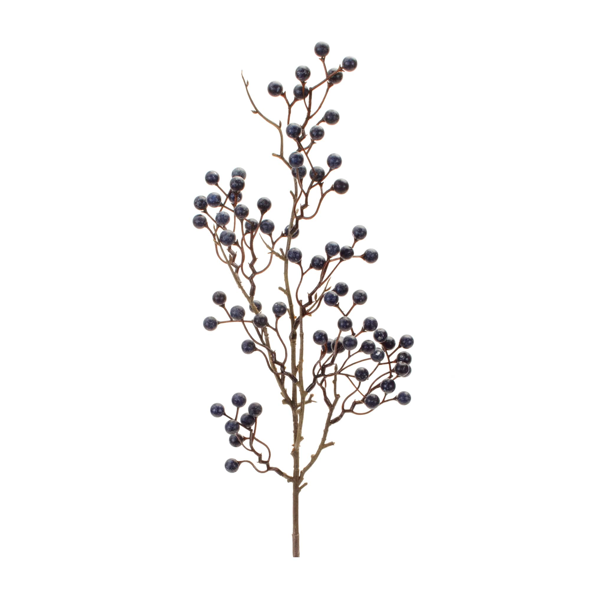 Blue Berry Twig Branches, 6ct.