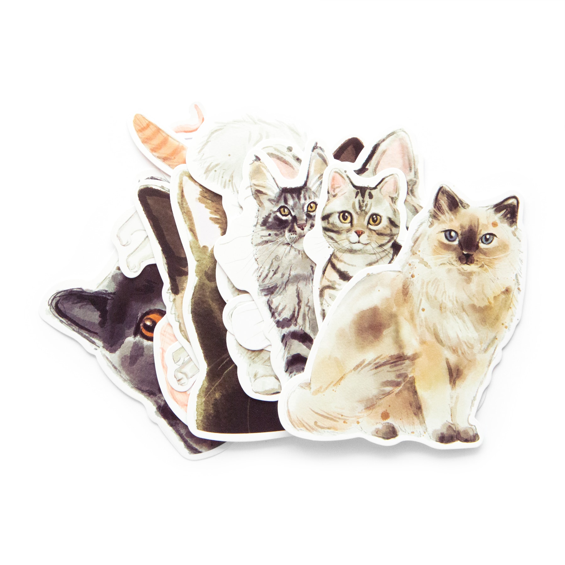 12 Pack: Cats Die Cut Stickers by Recollections™