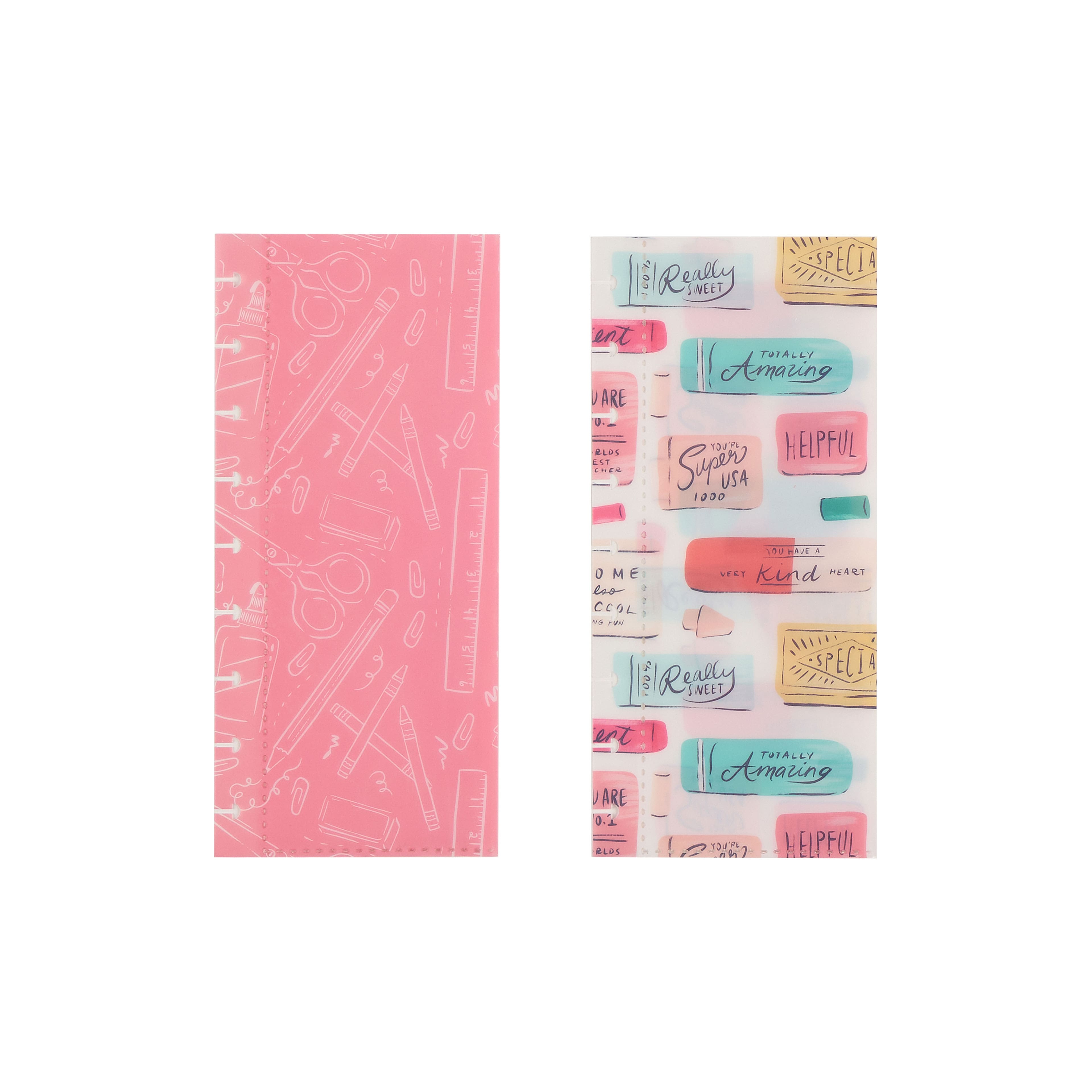 The Big Happy Planner&#xAE; 2025 Pawsitive Teacher 12 Month Planner Box Kit