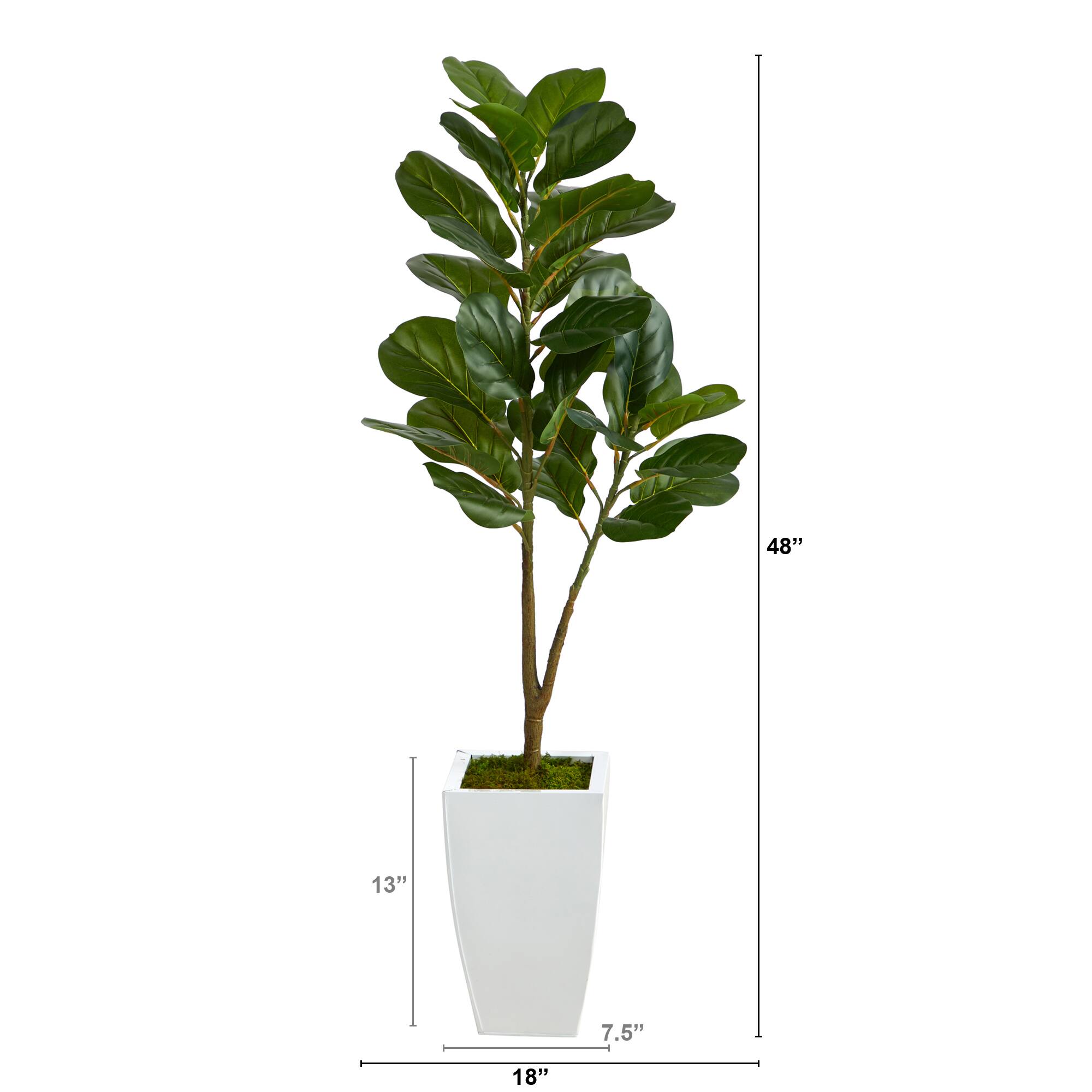 4ft. Fiddle Leaf Fig Tree in White Metal Planter