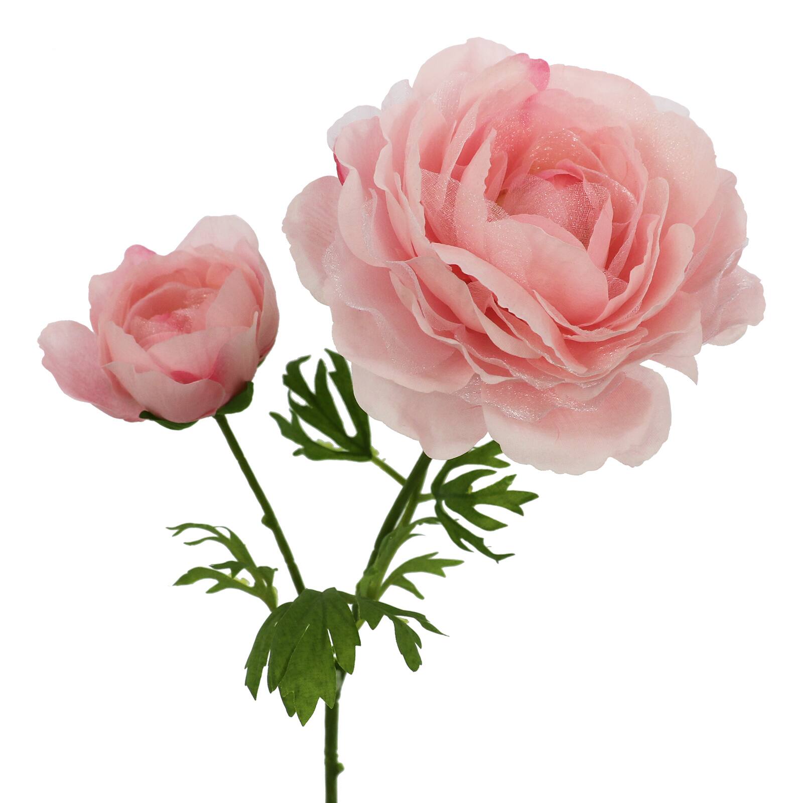 27" Blush Sheer Ranunculus Stem by Ashland®