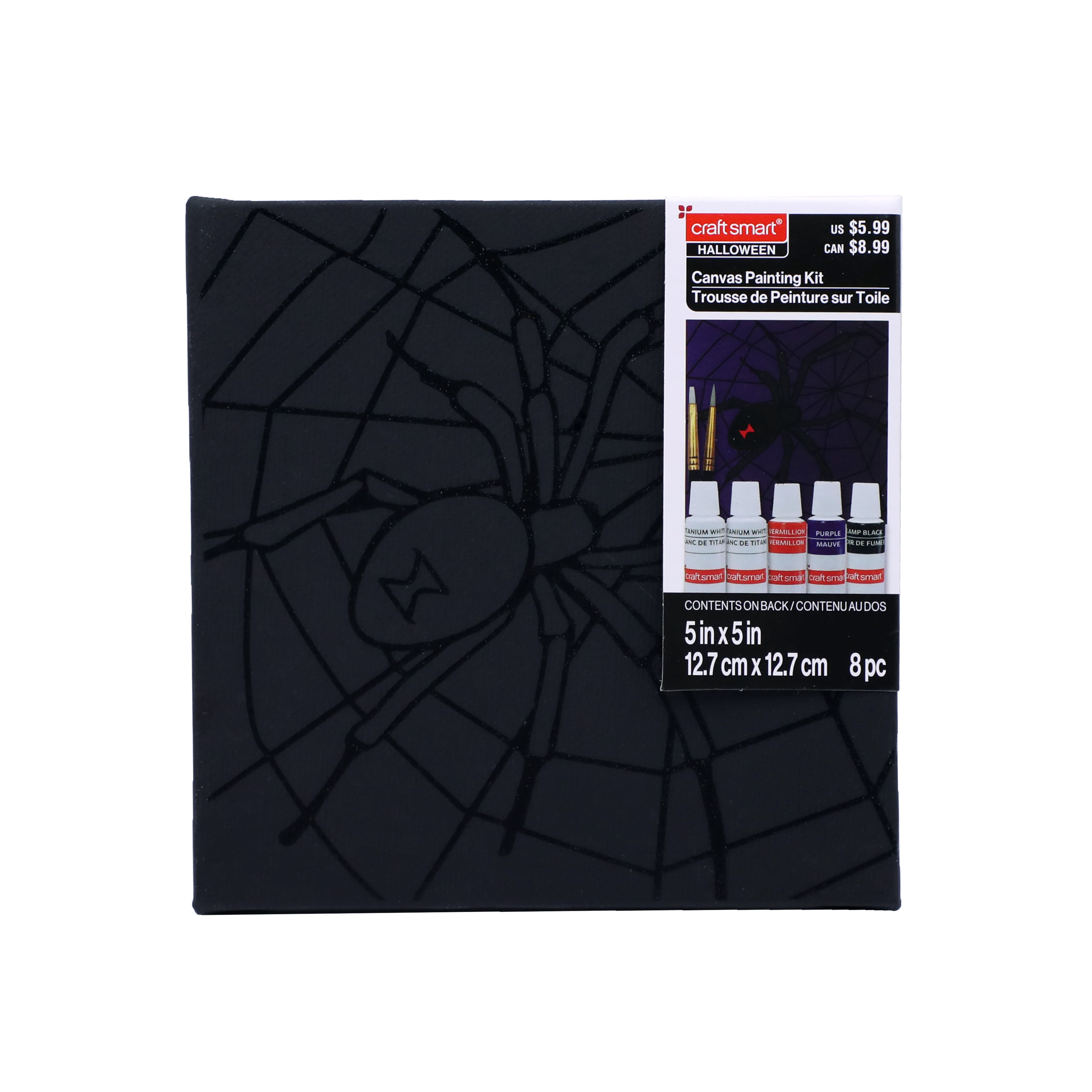 5&#x22; x 5&#x22; Spider in Web Canvas Painting Kit by Craft Smart&#xAE;
