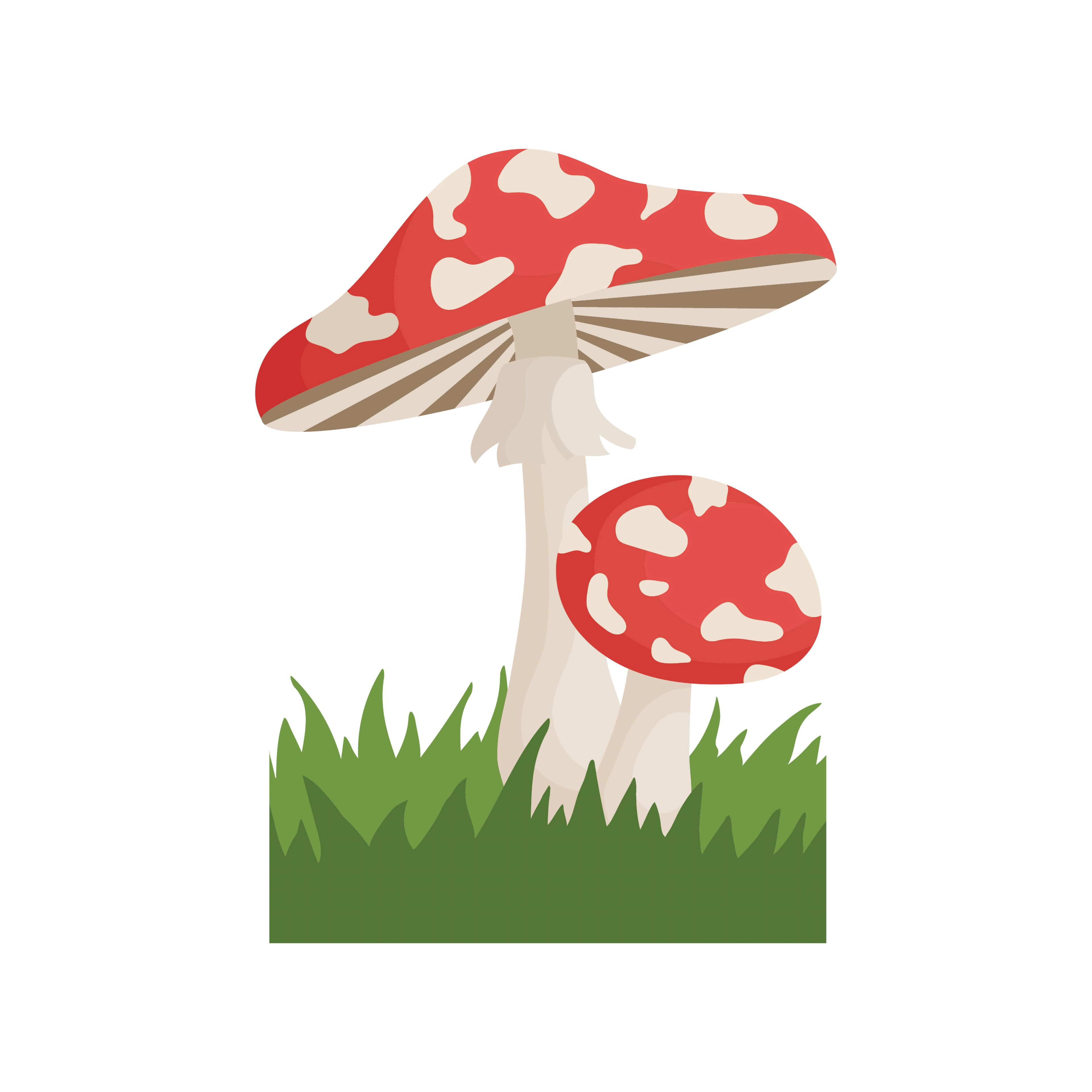 Mushroom Layering Stencils by Recollections&#x2122;